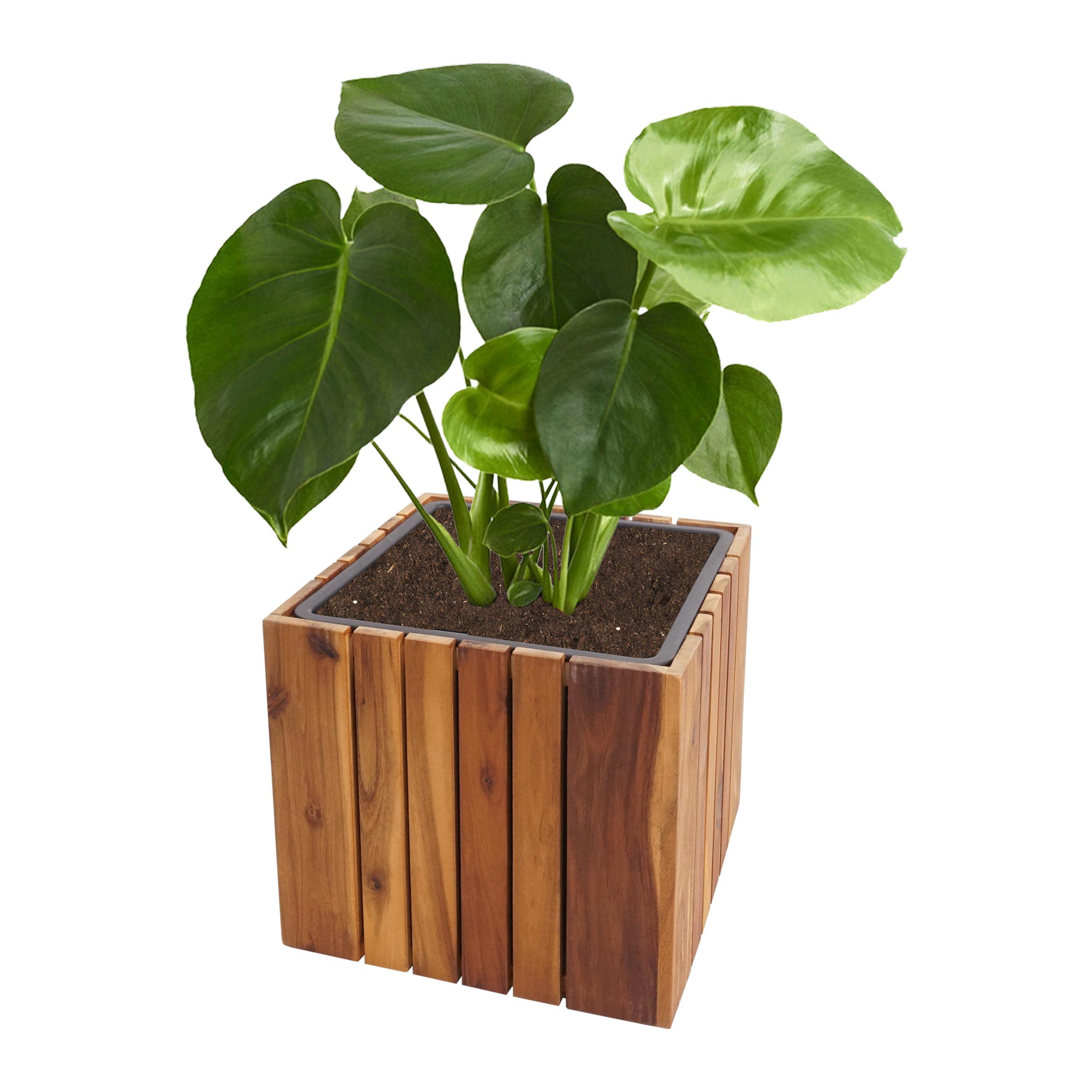 Mendler Vaso piante quadrato con inserto HWC-L24 legno acacia 32x32x32cm legno chiaro