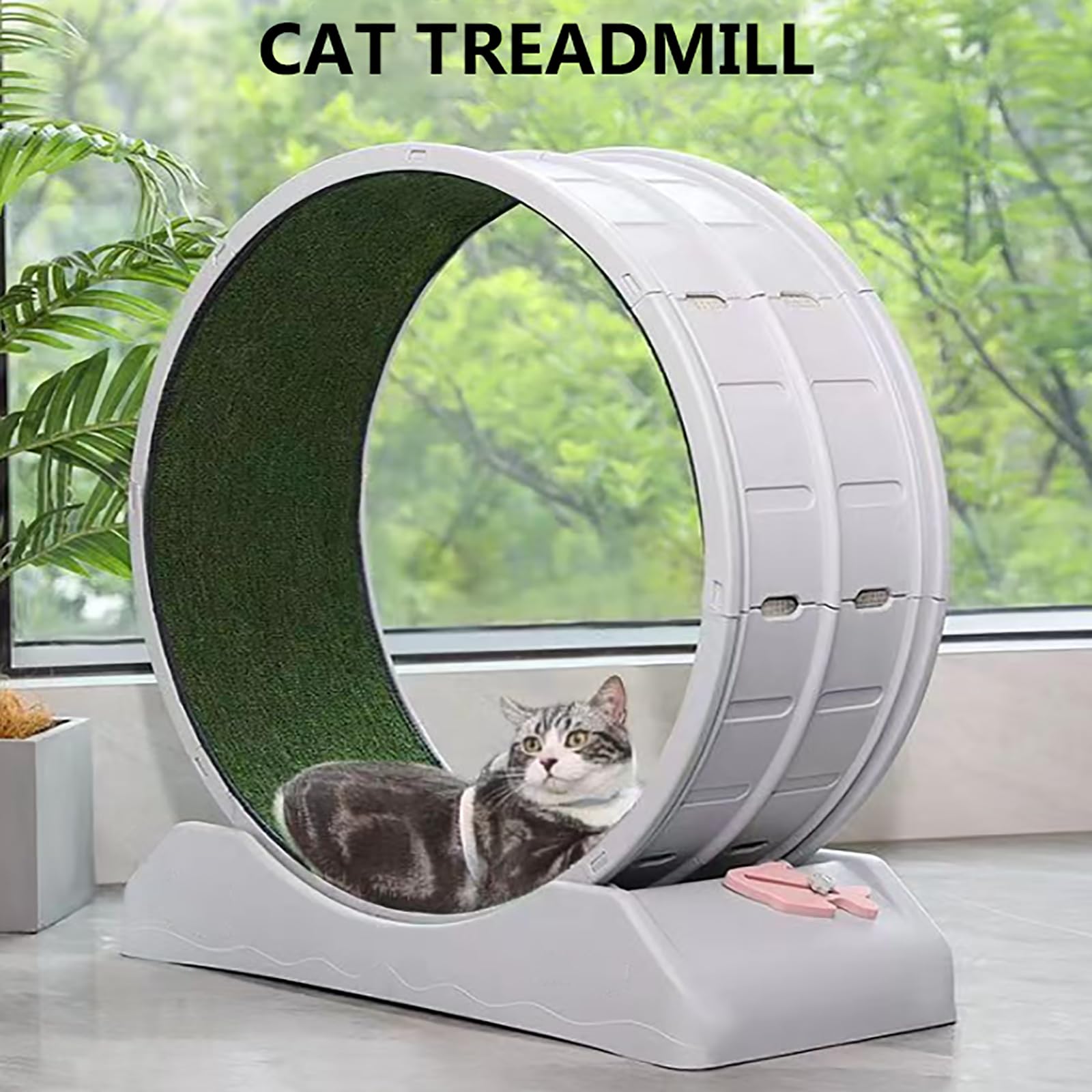 Amazon.co.jp: 室内猫用猫エクササイズホイール、直径31.5インチ