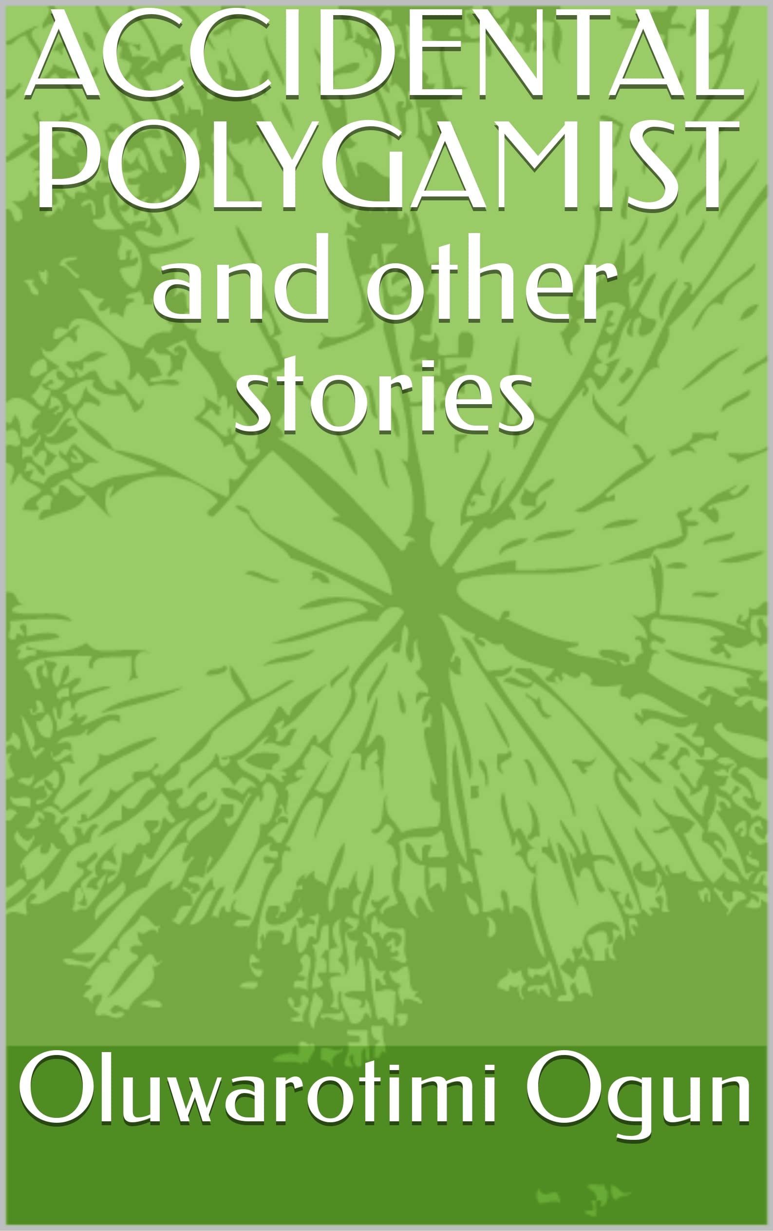 ACCIDENTAL POLYGAMIST and other stories (English Edition)