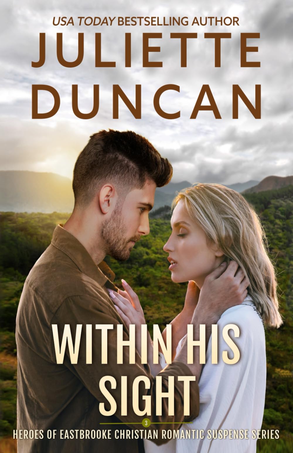 Within His Sight: Heroes of Eastbrooke Christian Romantic Suspense: 3