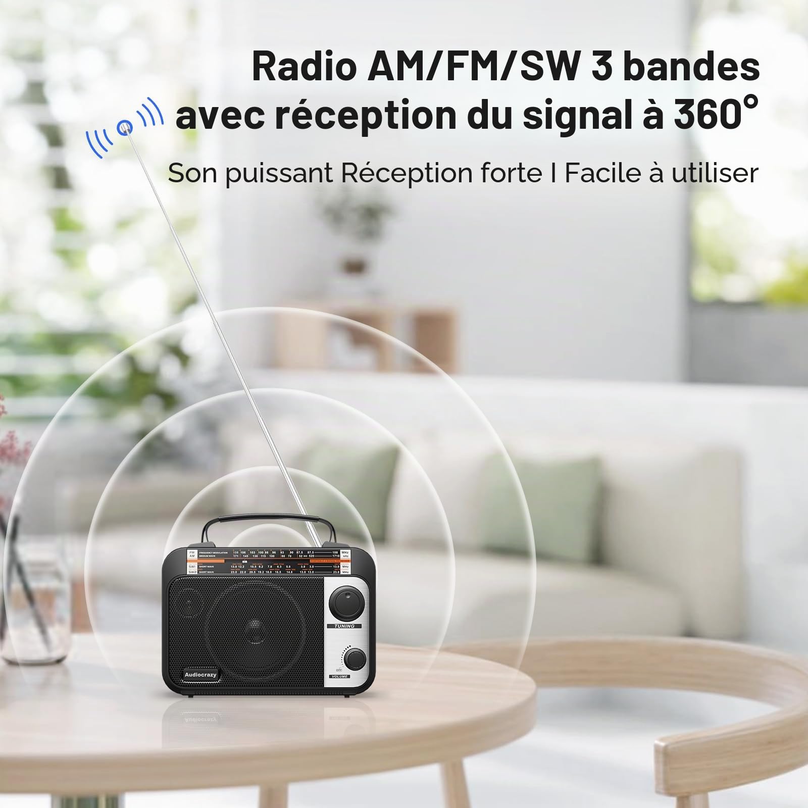 Radio Portable FM/AM/SW1-2 Radio Multibande avec Batterie Rechargeable 1800 mAh, Câble AC Ou Radio FM Portable avec Piles, Haut-parleurs, Prise Casque, Entrée AUX Noir