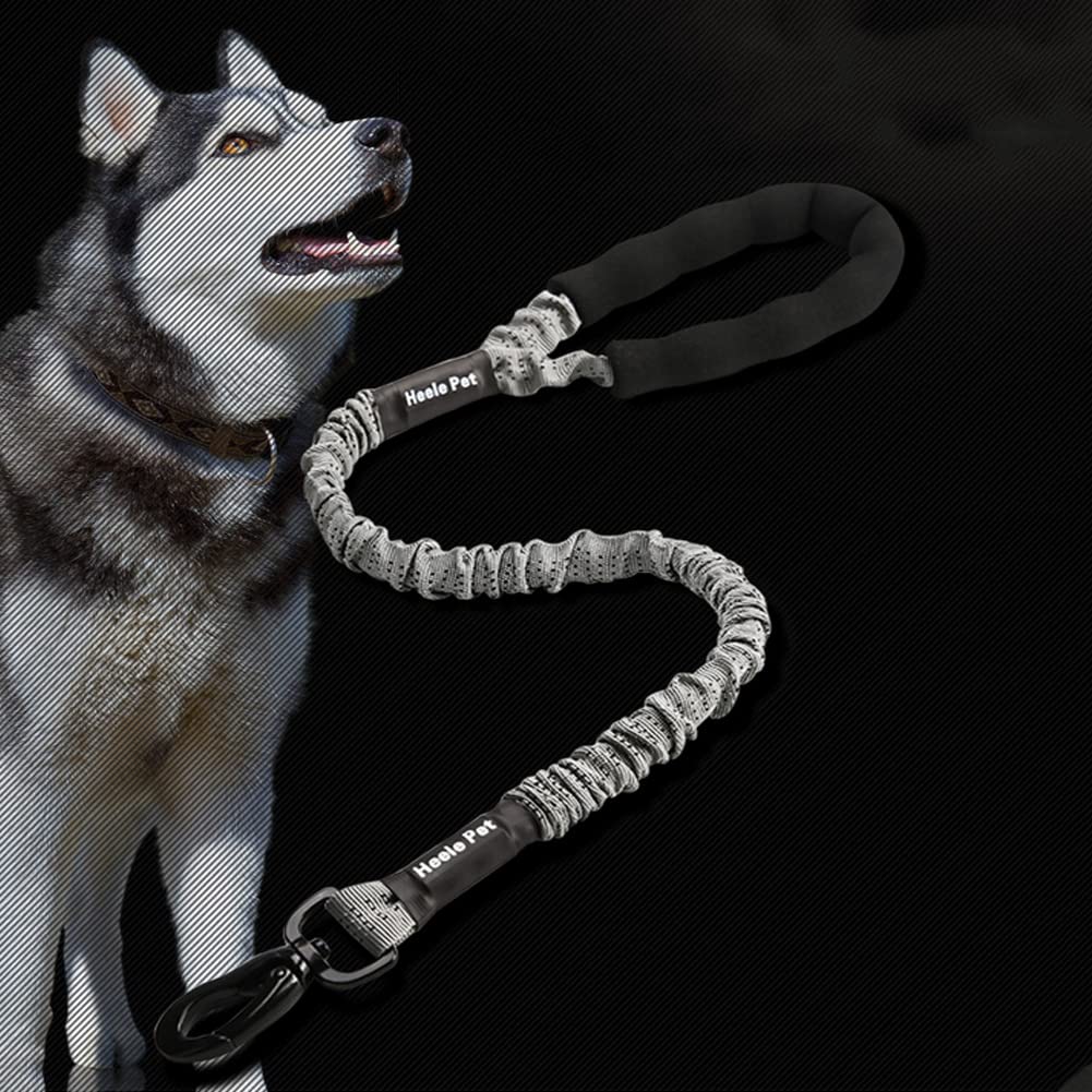 WDDT Laisse Chien Élastique, en Nylon, Corde Solide Anti Traction ​Grande Taille, Élastique pour Animaux Compagnie, avec Poignée Rembourrée, Chiens Grands et Petits