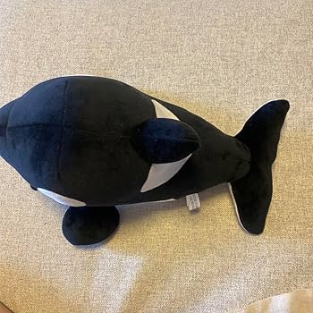 Amazon.co.jp: 神戸須磨シーワールド オルカくじ 3等 シャチぬいぐるみ