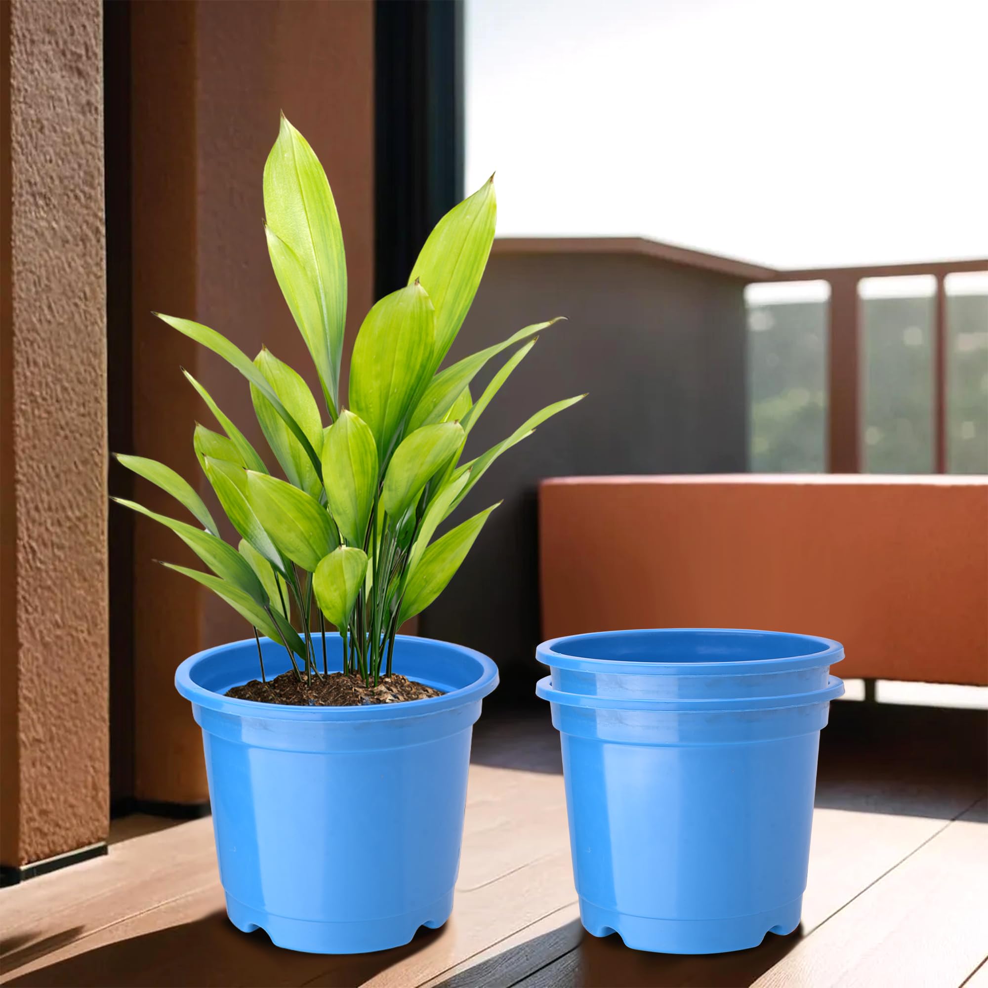 See full amazon price history chart for Kuber Industries (Pack of 3) Flower Pot | Fuldani Flower Pot | (6 Inch) Pots for Home, Terrace, Garden | Pots Stand for Plants | Phooldaan for Home D?cor | Synergy Indoor Plant Stand | Blue Kuber Industries (Pack of 3) Flower Pot | Fuldani Flower Pot | (6 Inch) Pots for Home, Terrace, Garden | Pots Stand for Plants | Phooldaan for Home D?cor | Synergy Indoor Plant Stand | Blue (B0D7VFB8SM) Amazon Price History, Amazon Price Tracker