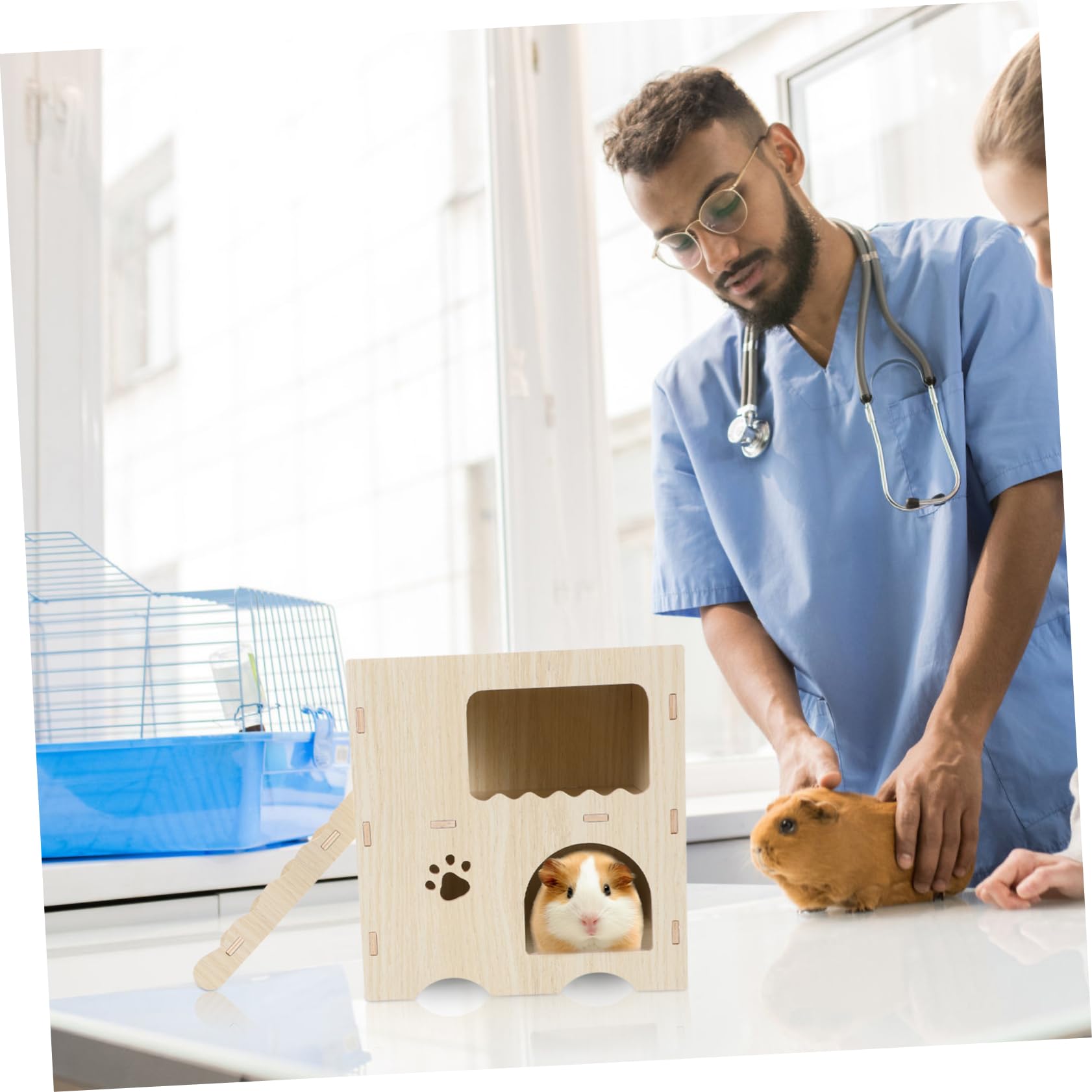 Hemobllo Maison en Bois Beige pour Hamster avec Échelle, Habitat de Repos et Jouet Anti-Ennui Adapté la Cage des Petits Animaux
