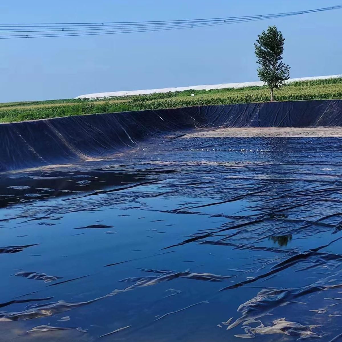 Giardino Telo Per Laghetto Rivestimento Protettivo HDPE Laghetto Per Tartarughe Laghetto Artificiale Durevole Film Impermeabile Per Piscina Cascata Stagno Dei Pesci 4x5m 5x7m 6x8m 8x15m(Misurare:6x7m/