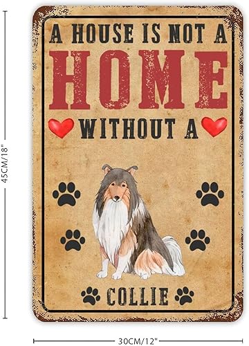 Vista 20 de Letrero de metal con texto en inglés «A House is Not A Home Without A Dogo Argentino» («A House is Not A Home Without A Dogo Argentino»)