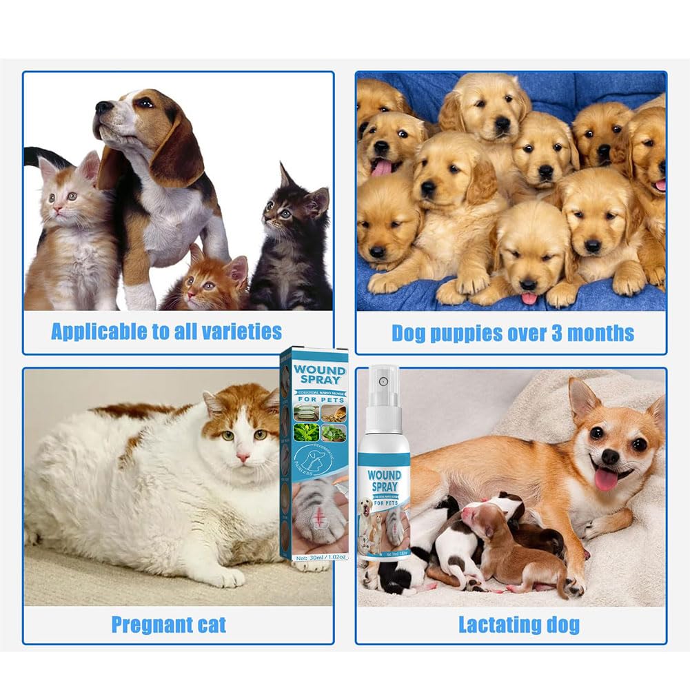 Wound Spray pour Chiens et Chats,Spray de Guérison des Plaies,Spray de Nettoyage pour Animaux de Compagnie,Pet Wound Spray,pour Animaux Ddomestiques,pour Le Nettoyage et Le Soin des Plaies,30ML