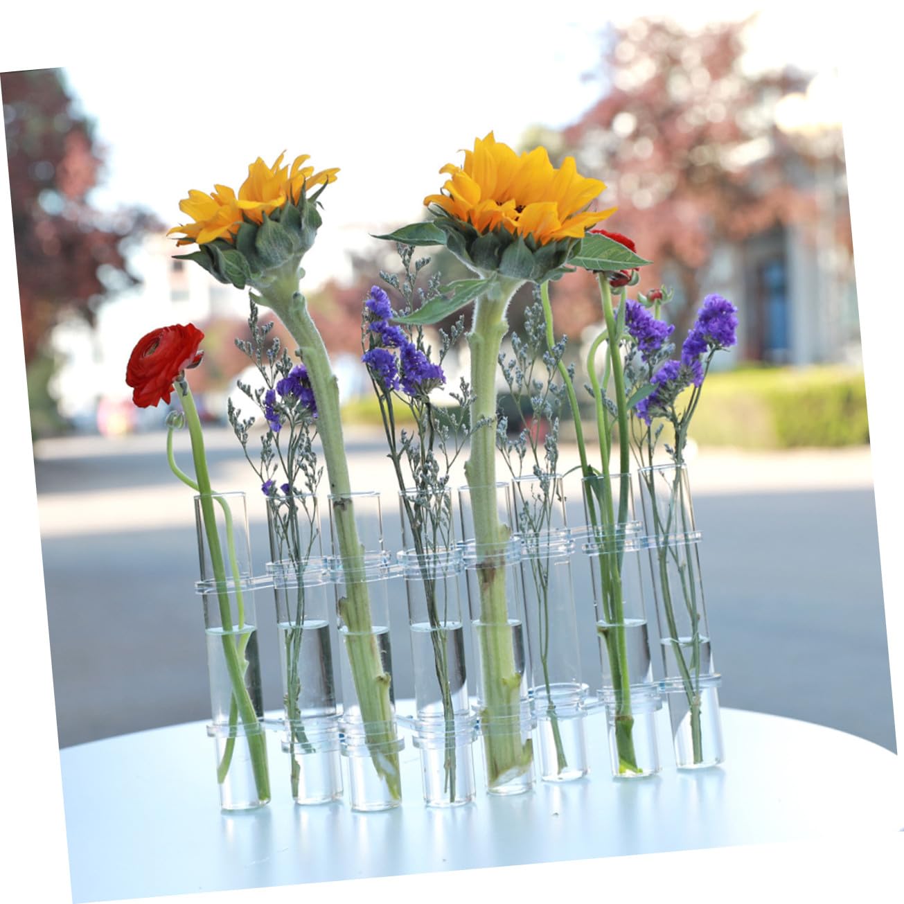 Vase Hydroponique Verre Transparent Tube de Propagation pour Plantes avec Support pour Culture Pot ou Terrarium