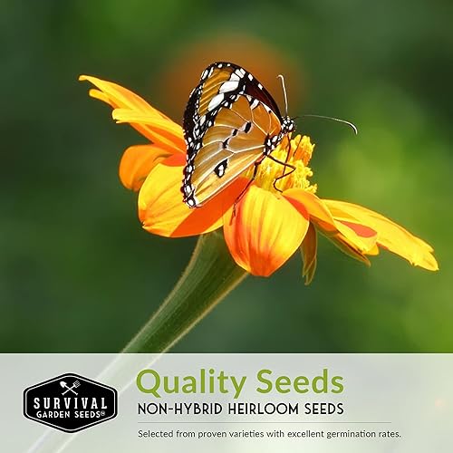 Miniatura 7 de Survival Garden Seeds Colección de flores polinizadoras: 3 paquetes de semillas para plantar y atraer mariposas, abejas, colibríes, flores