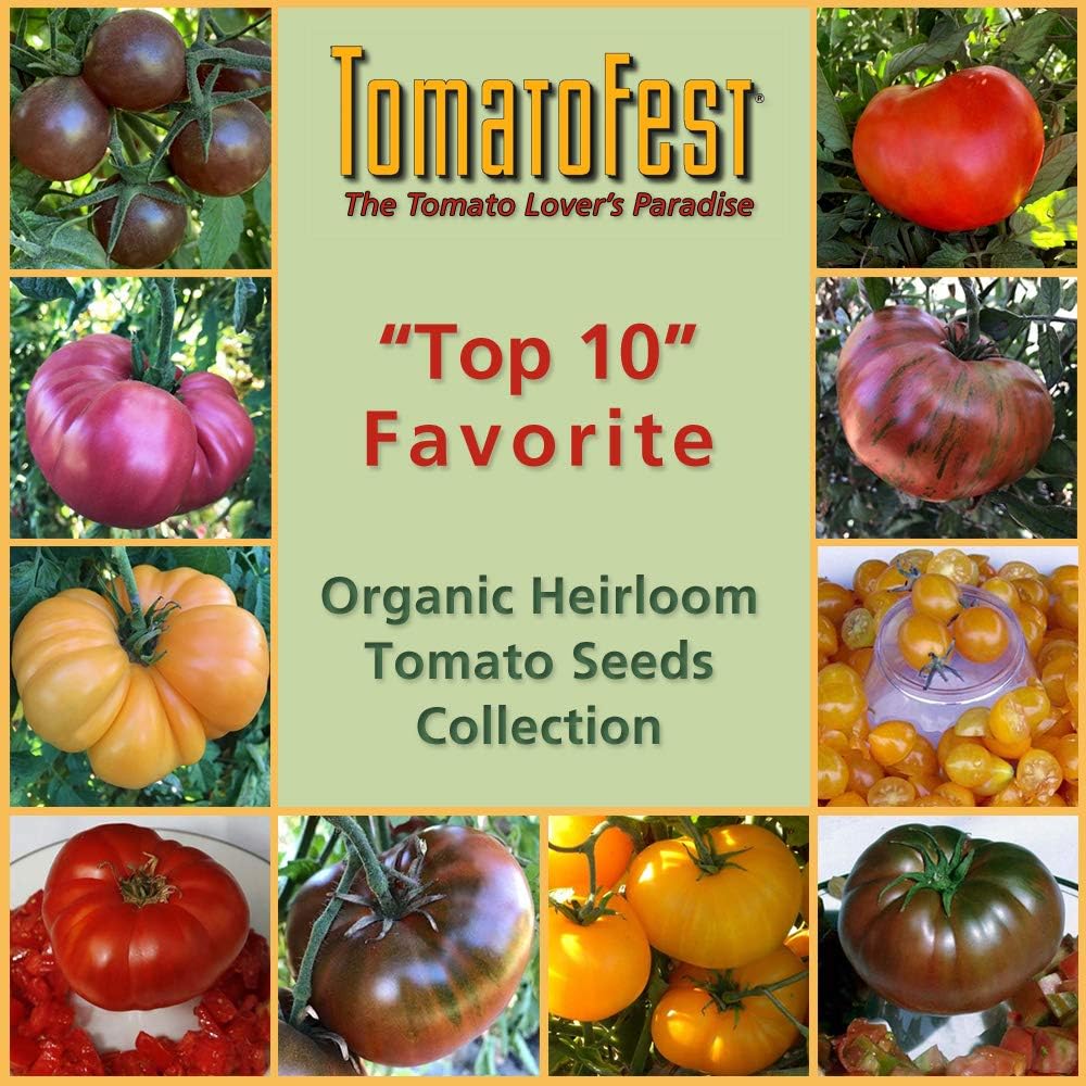 TomatoFest "Top Ten" Favorite Organic Heirloom Tomato