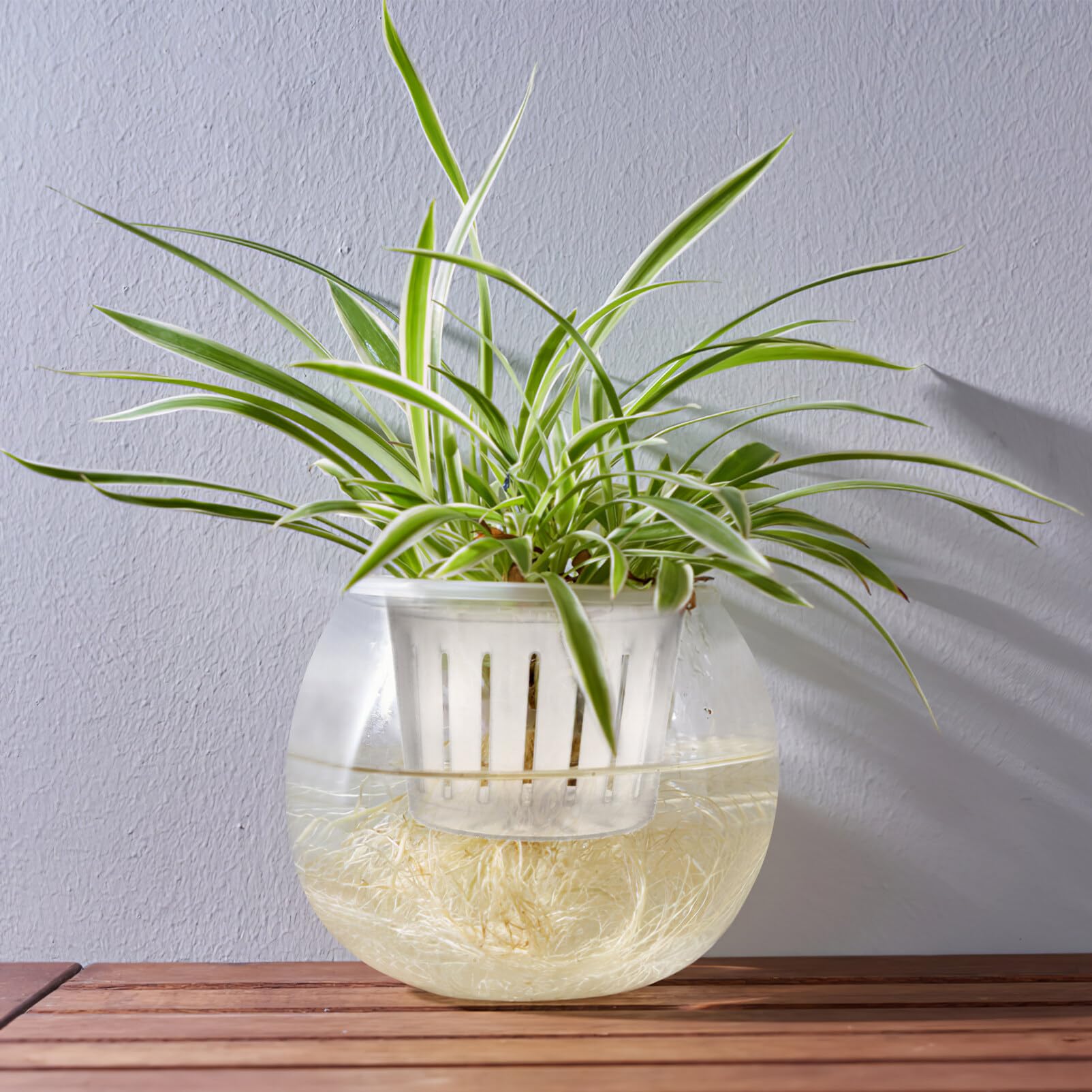HEMOTON Hydrokultur Blumentopf Transparent Mit Abnehmbarem Pflanzkorb Selbstbewässernder Pflanzenkorb Mit Sichtbarem Wasserstand 5.91X5.91X4.33 Zoll Für Innen Und Außen Garten