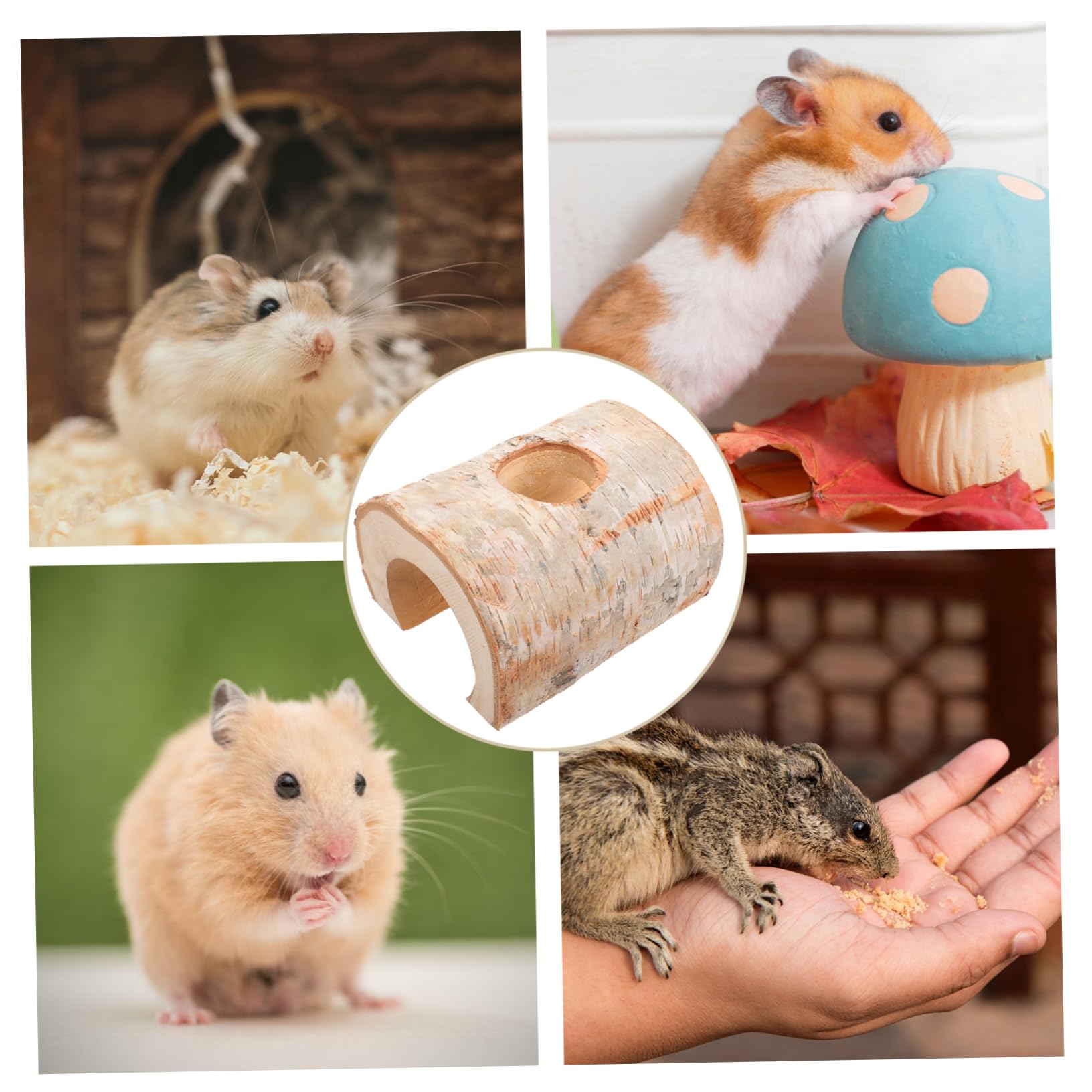 Hamstertunnel aus Stabilem Holz 15cm Breit Natural Hamsterhöhlenspielzeug für Zwerghamster Rennmäuse und Mäuse Käfigversteck und Kautunnel