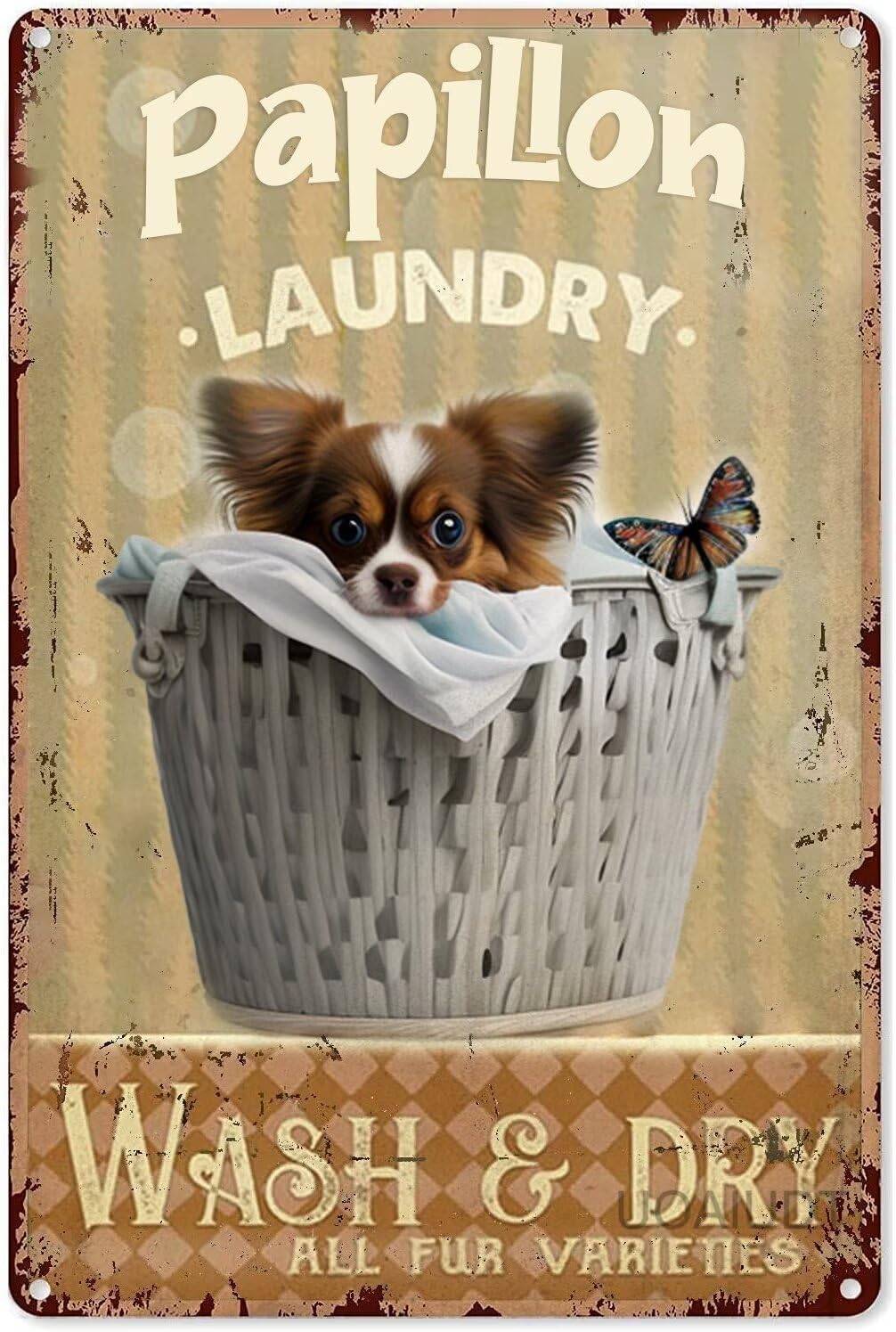 peiyeety Metal Tin Sign Papillon Dog Laundry Room Art Decorative 8x12 Inch Vintage Retro Wall Art Plaque For Dog Lover Laundry Room Rustic Funny Novelty Wall Decor