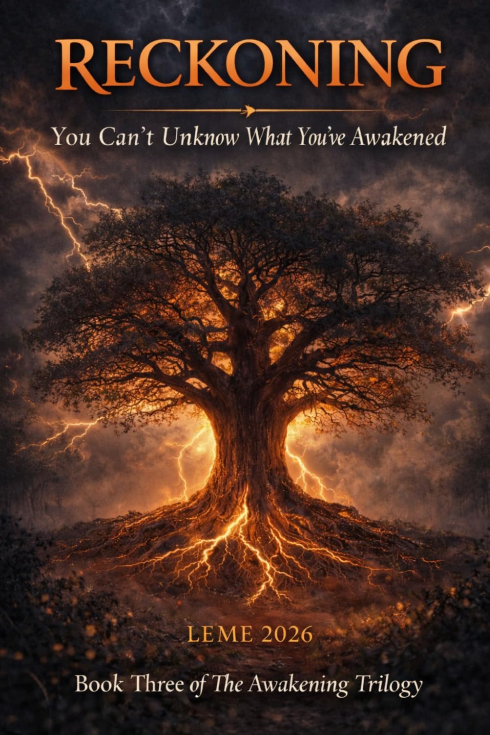 You Can't Unknow What You've Awakened: Reckoning (The Awakening Trilogy)