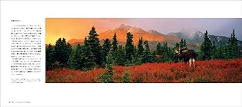 ザ・ワイルドライフ・フォト | ロザムンド・キッドマン