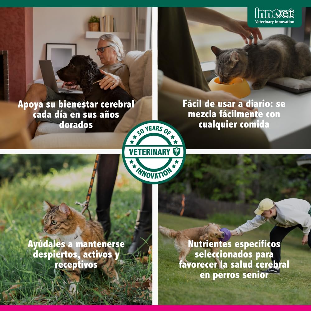 Innovet Senilife Plus 60 Cápsulas Monodosis – Apoyo al Bienestar Cerebral en Perros y Gatos Sénior – Vitaminas Perros Mayores Ayuda a Mantener el Equilibrio Cognitivo y la Vitalidad Mental Natural
