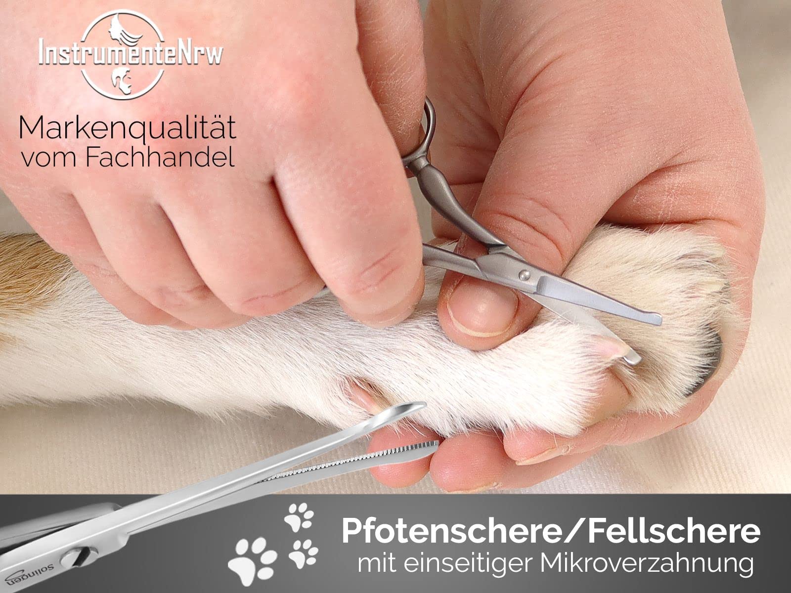 Fellschere Pfotenschere aus Solingen Kleine Hundeschere mit einseitiger Mikroverzahnung Hunde Haarschere aus Rostfreiem Edelstahl mit Scharfer Abgerundeter Schnittfläche für eine perfekte Fellpflege