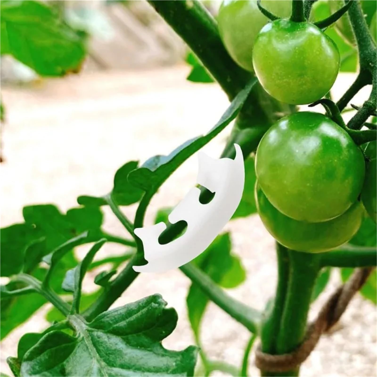 Clip per addestramento delle piante, 300 pezzi, piegatrici per piante, supporto in plastica, supporto per pali e manipolazione della crescita, tutor per fiori e rami di vite (nero)