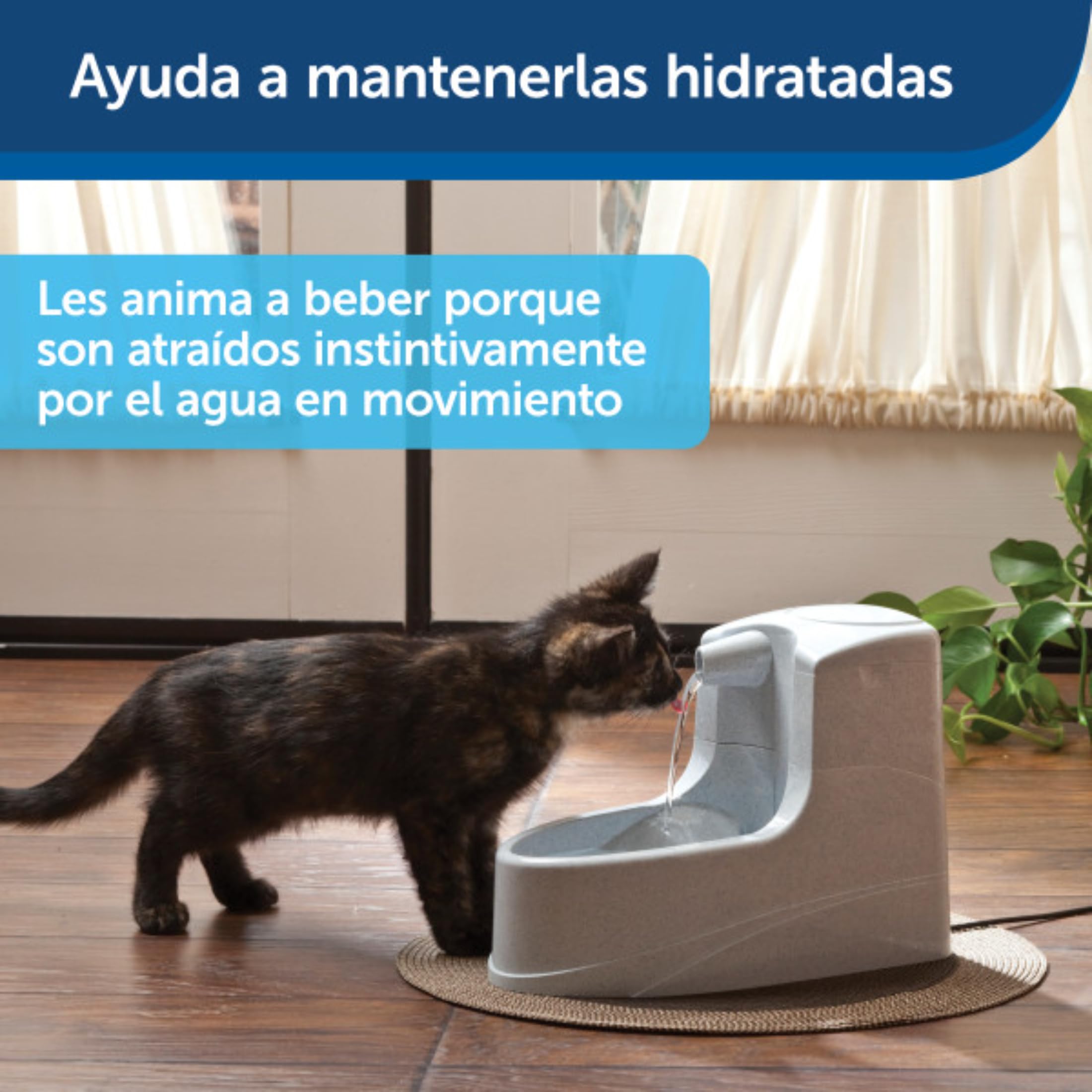 PetSafe Drinkwell mini fontanna do picia, podwójny system filtrowania, odpowiednia dla małych psów i kotów, pojemność 1,2 l