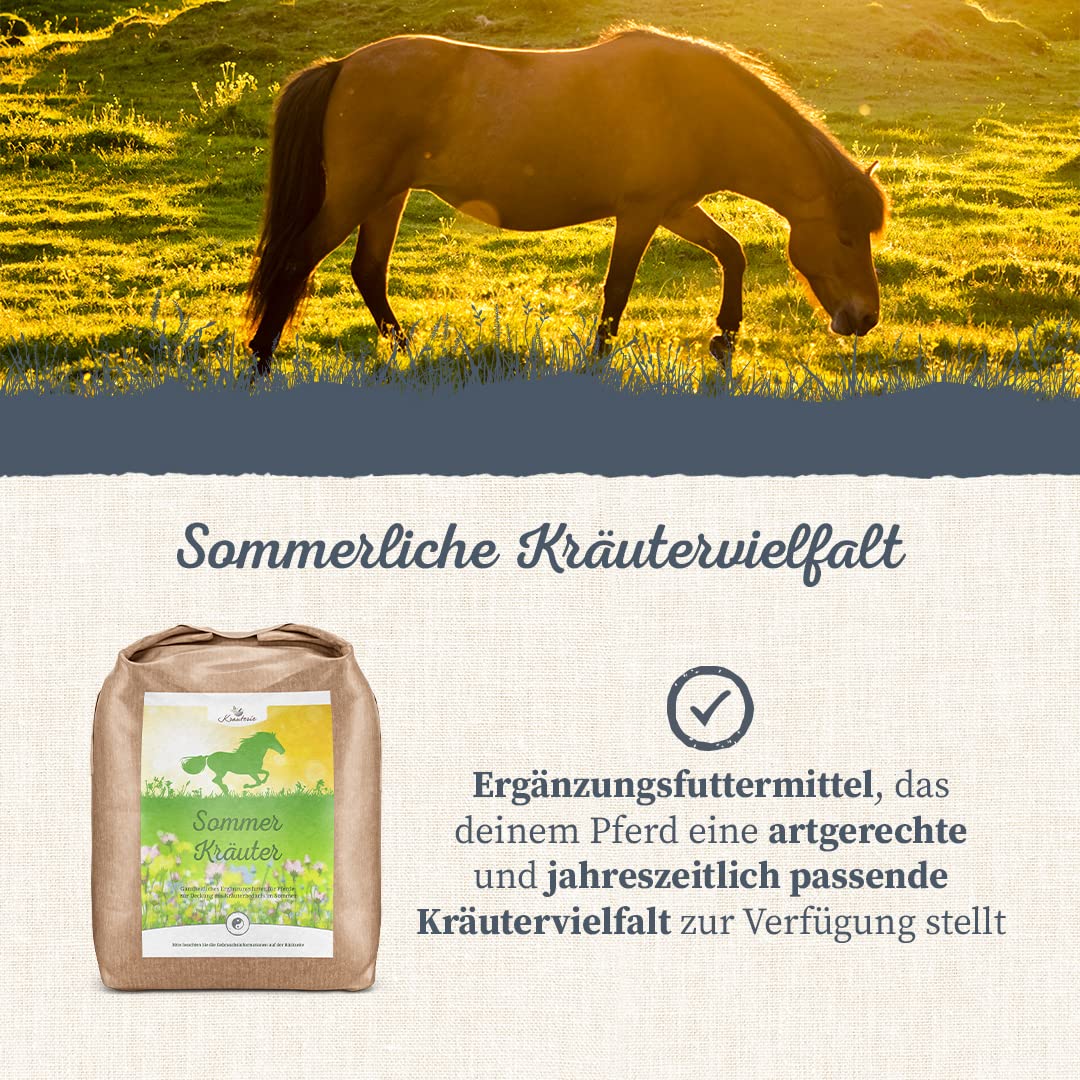 Krauterie Sommer Kräuter für Pferde (3000 g) | Saisonales Ergänzungsfutter für Pferde in Spitzenqualität - frei von Zusatzstoffen, zuckerfrei, getreidefrei, melassefrei