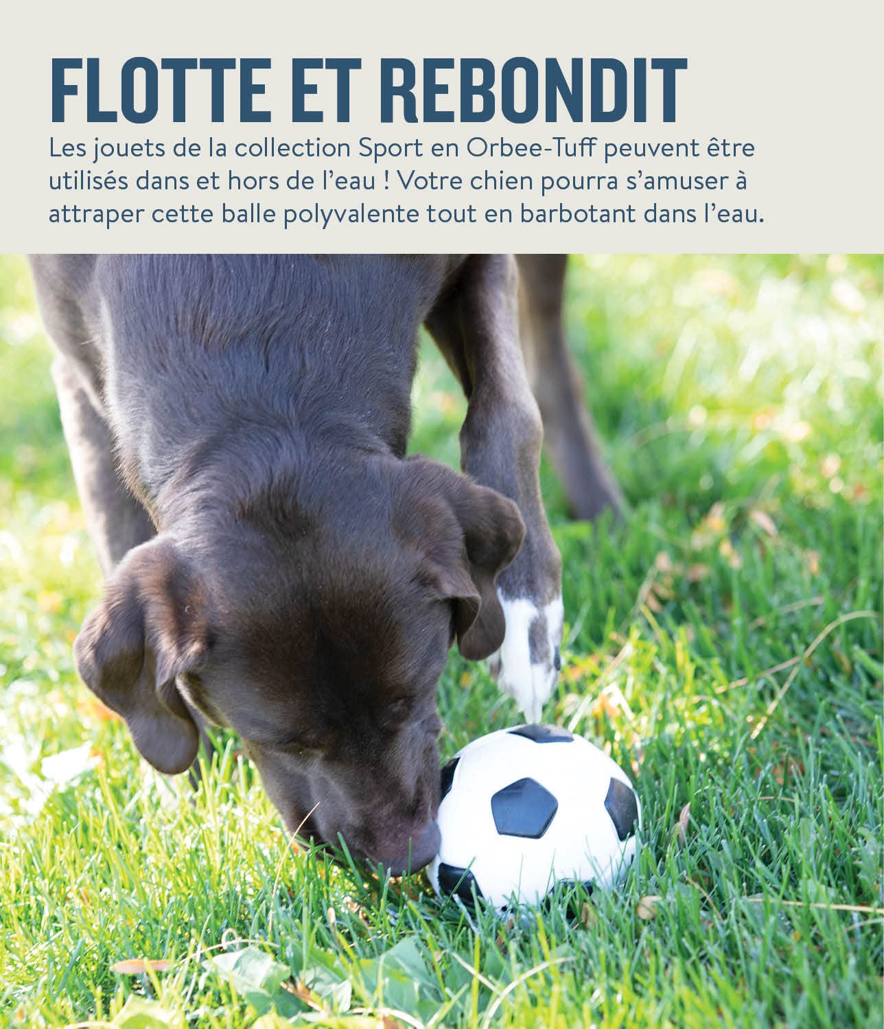 Planet Dog Jouet pour chien en Orbee-Tuff - distributeur de friandises/à mâcher - ballon de foot