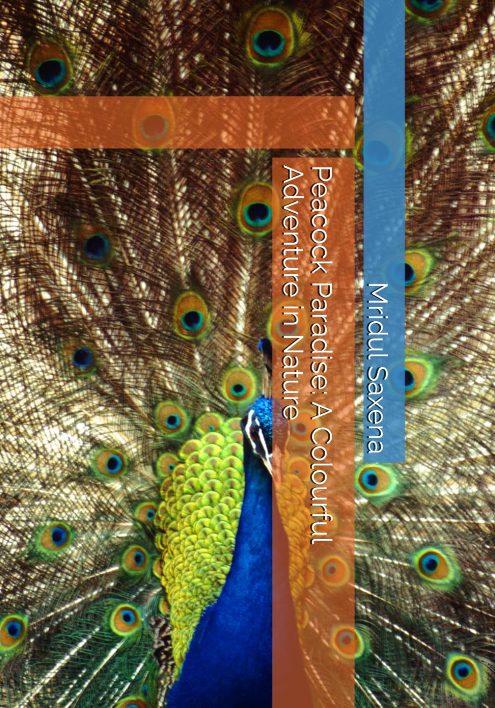 Peacock Paradise: A Colourful Adventure in Nature (Colouring books for children)