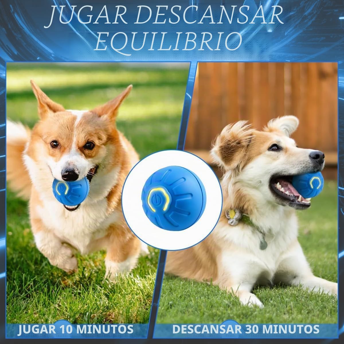 Pelota Interactiva para Perros, Pelota Rodante Automática, Juguete Divertido y Recargable para Perros, Gatos y Gatitos — para Uso en Interiores y Exteriores