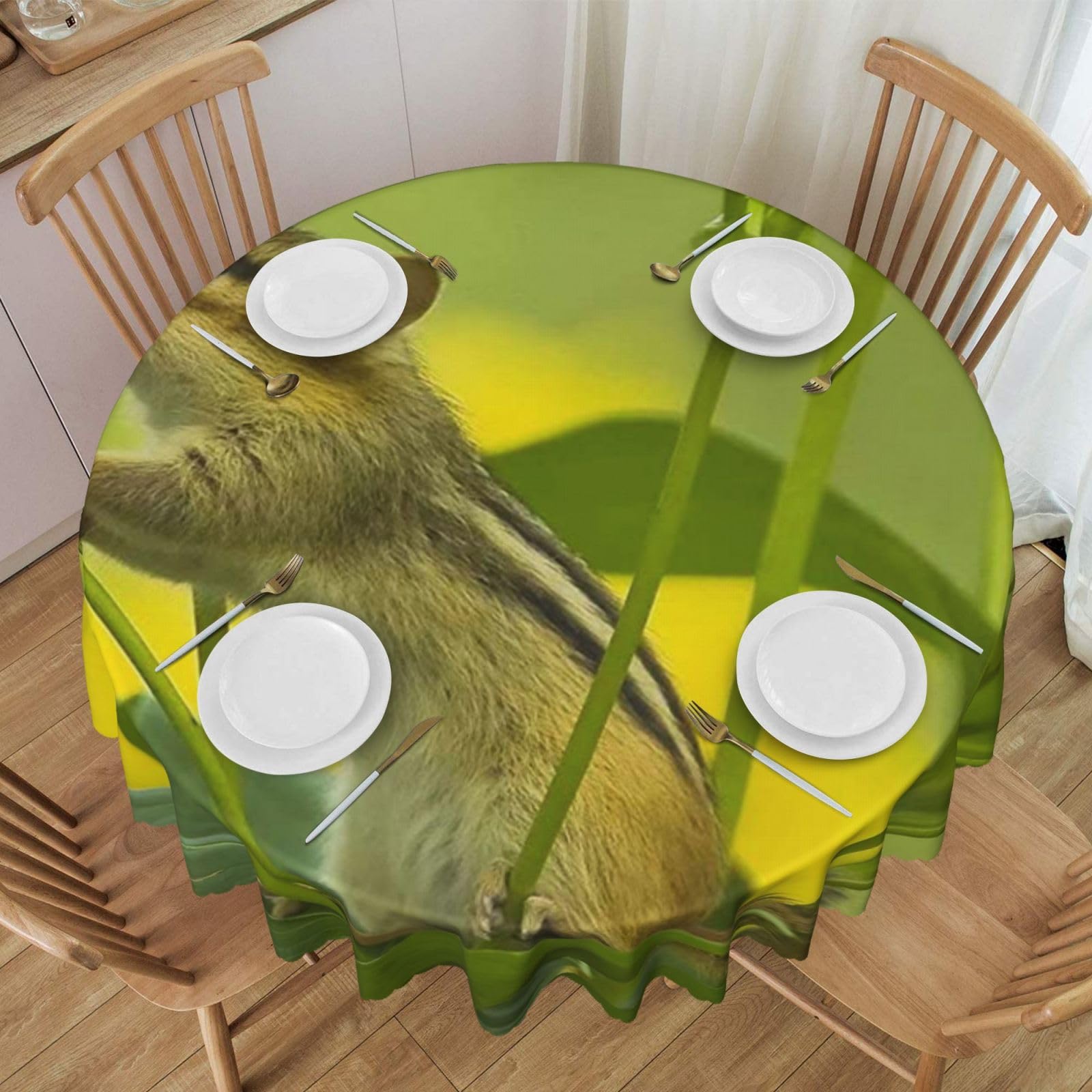 DCEHGEW 60 In Round Tablecloth with Lace, Wildlife Squirrel Flowers Printed Oilproof & Washable Fabric Picnic Table Cloth Table Covers