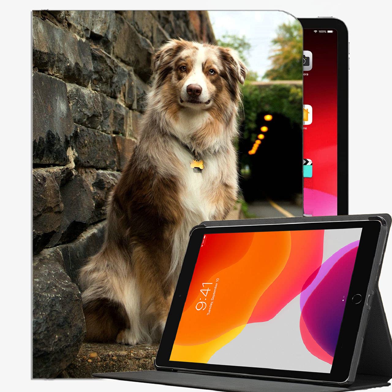 Case for iPad (9.7-Inch, 2018/2017 Model, 6th/5th Generation),Dog Street Spotted Case Slim Shell Cover For iPad 9.7 inch