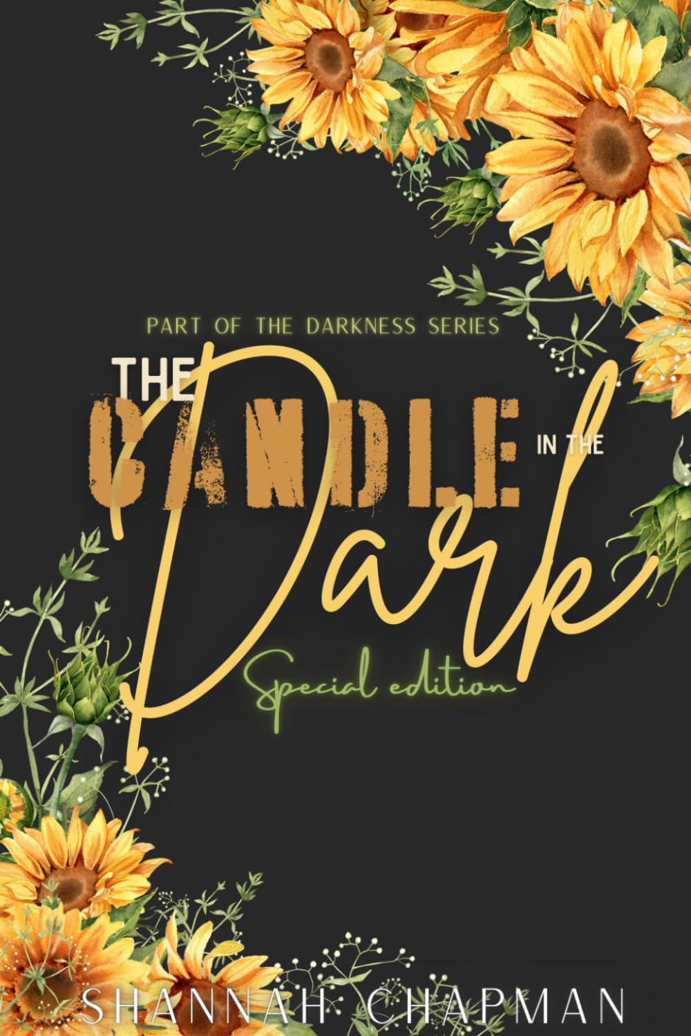 The Candle in the dark: Special edition (The Darkness Series - Special Edition)