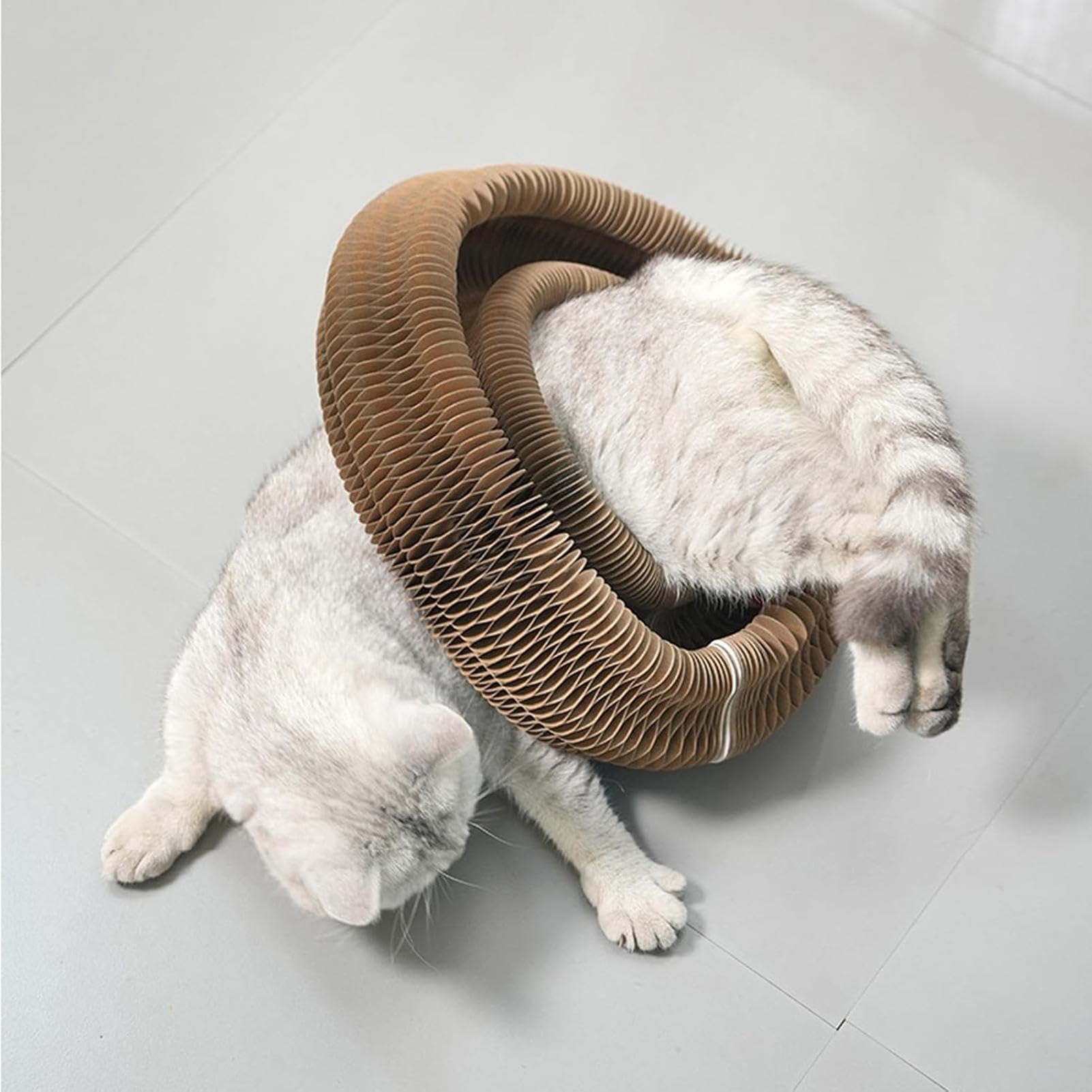 Cat Scratch Pad, Round Cat Acordeon Toy, Interactive Cat Scratcher Ramp, plegable Cat Cardboard Toys, Cat Toy with Bell Ball, Indoor Cat Boredom Relief, Sturdy Cat Scratcher for Pets