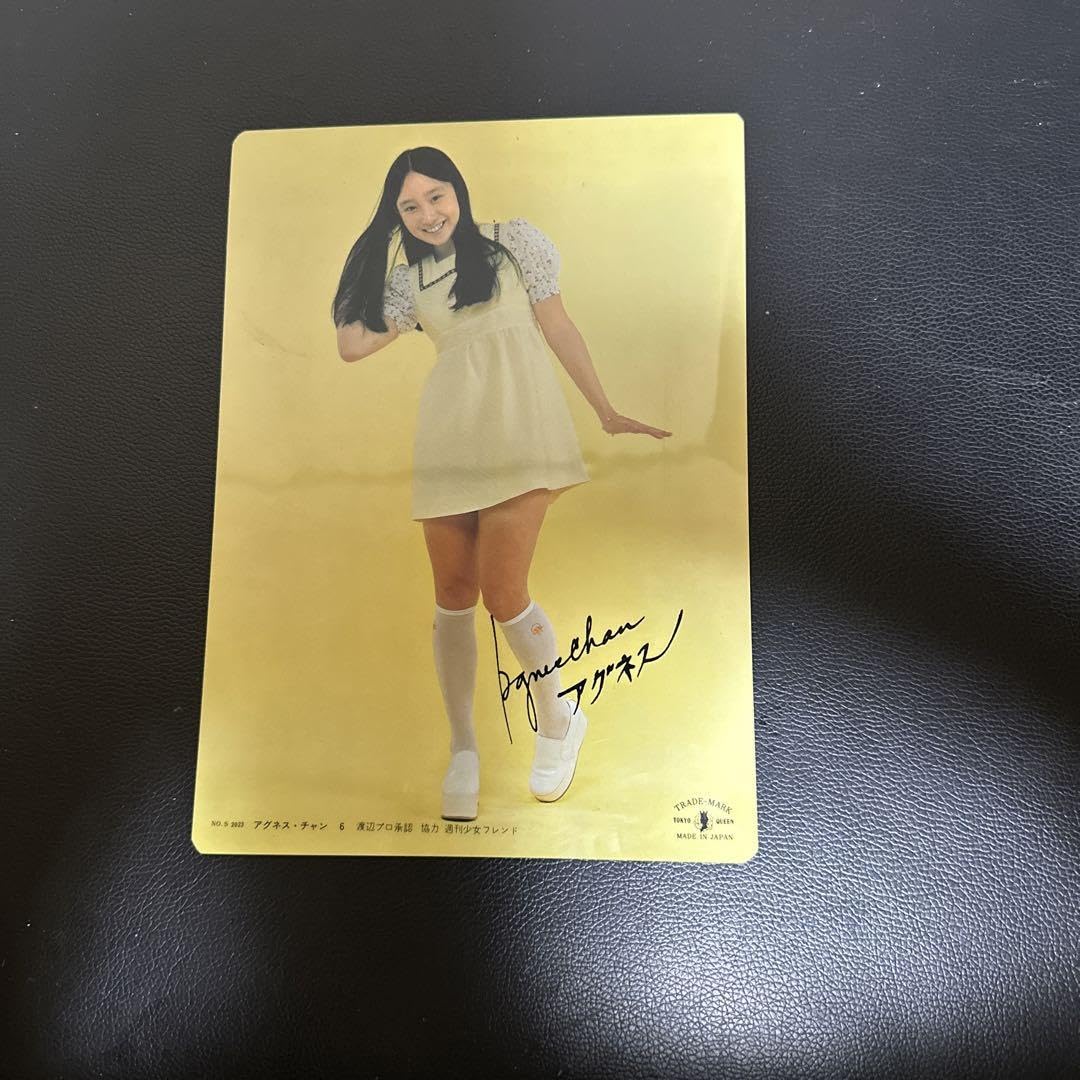 昭和レトロ！ アイドル下敷きセット Amazon.co.jp: レトロ アイドル 下敷き アグネスチャン : おもちゃ