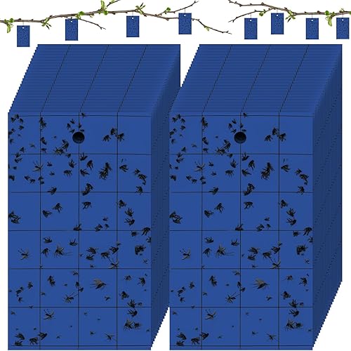 Miniatura 8 de Qualirey 300 trampas adhesivas para mosquitos de 3 x 5 pulgadas, trampa adhesiva de doble cara para moscas de frutas con lazo para plantas, trampa