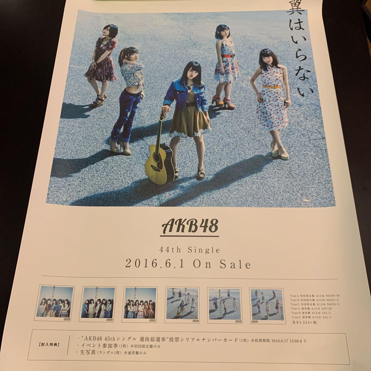 Amazon.co.jp: AKB48/翼はいらない B2 販促 告知 ポスター : おもちゃ