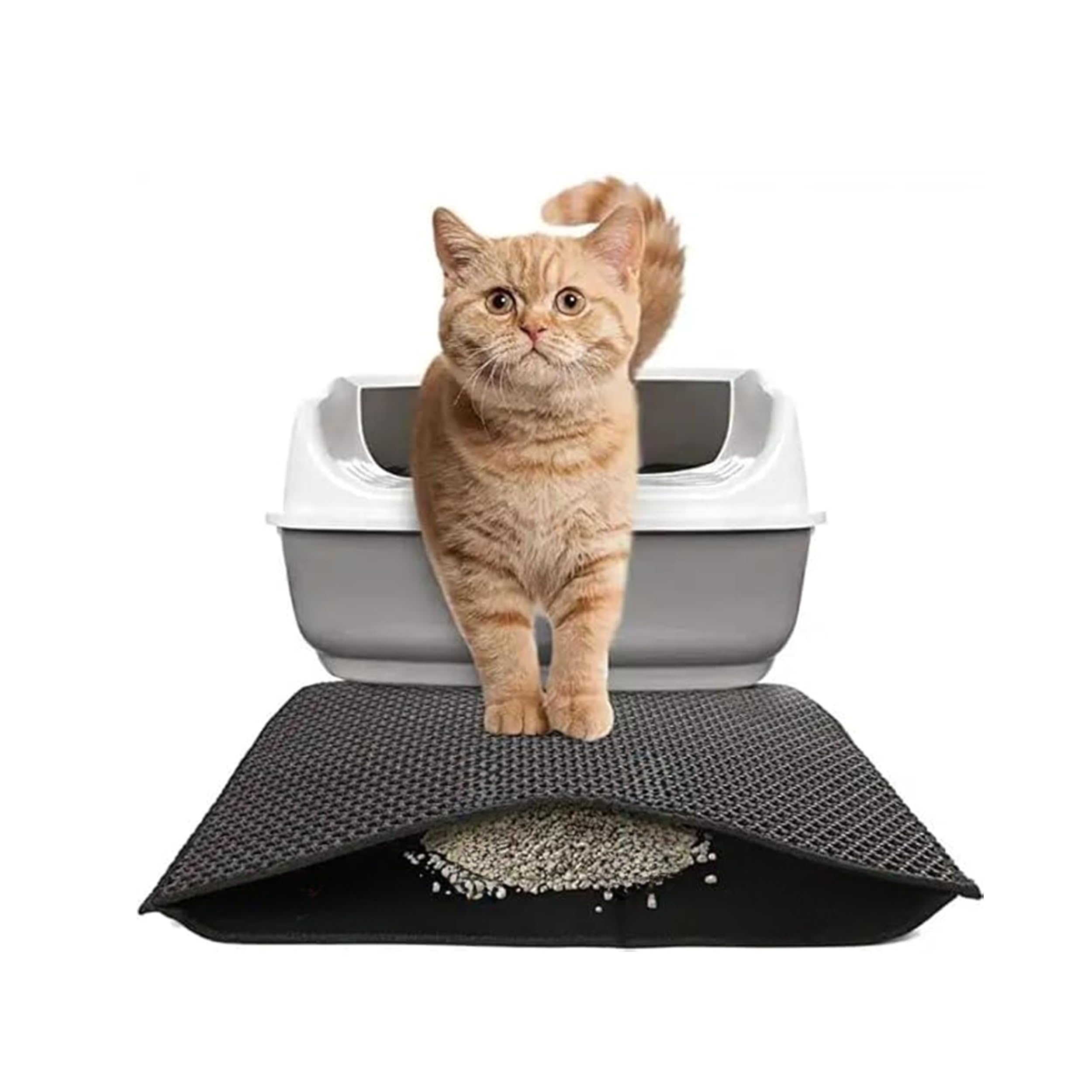 Katzenstreu Matte 60x45 cm | Matte für Katzenklo | Fängt Streu & Staub von den Pfoten auf | Katzenklo Matte | Robust & Leicht zu Reinigen – Schwarz katzenmatte