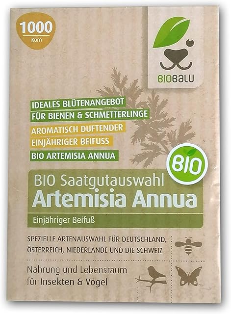 Artemisia Artemisia Annua Saatgut Bioqualität Demeter — Saatgut