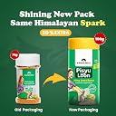 Namakwali Flavoured Pahadi Salt Hing Jeera (Asafoetida and Cumin) Seasoning 100gm | Pisyu Loon Seasoning mix for Popcorn, Noodles, Salad, Raita, Juice, Fruits, Sweet Corn, Makhana and more | 100% Organic gallery image