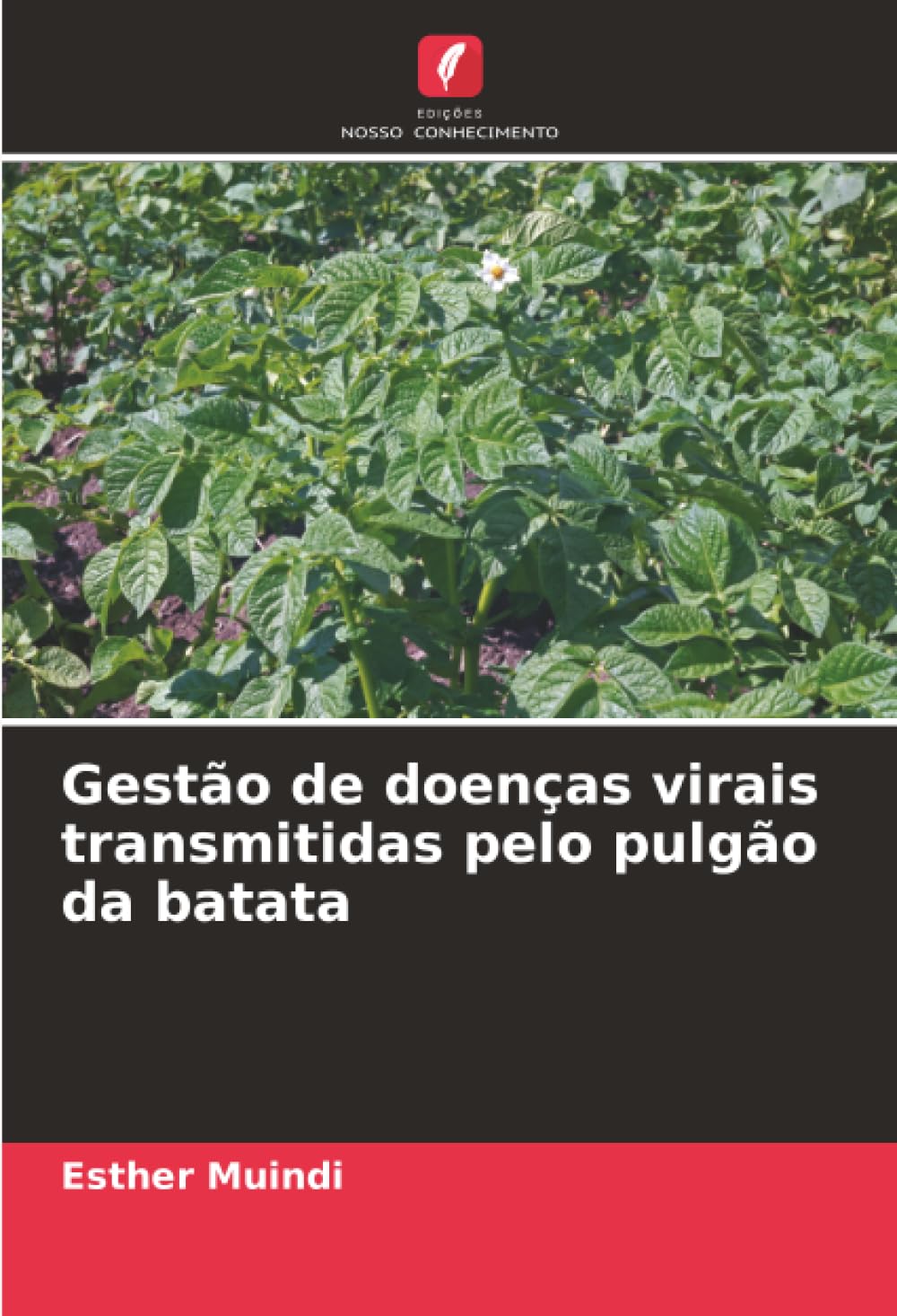 Gestão de doenças virais transmitidas pelo pulgão da batata