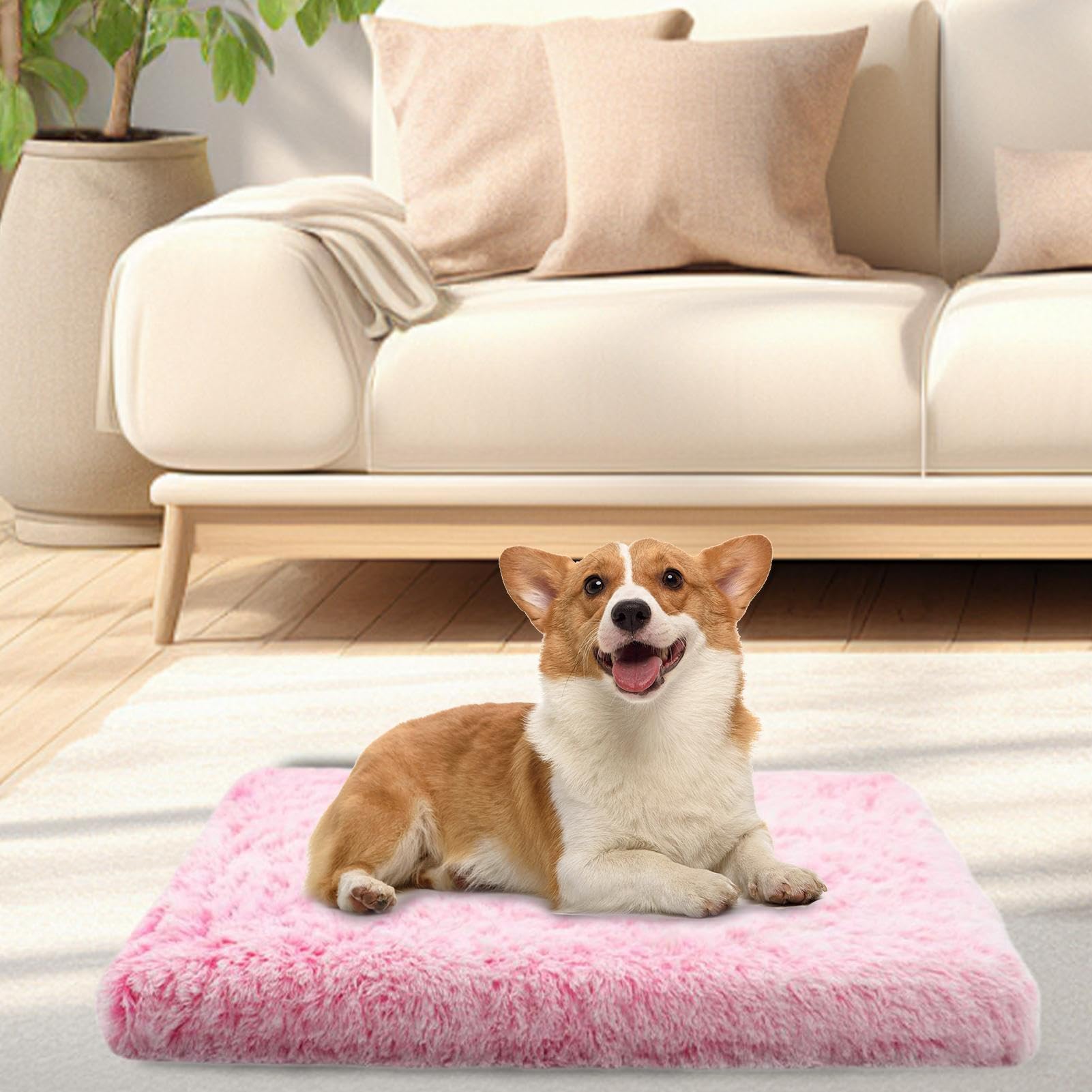 Tapis Chauffant Pour Chats Tapis Doux Portable | Coussins Électriques pour Chiens Pour Le Confort Du Repos En Intérieur Le Sommeil À La Maison La Chaleur En Temps Froid