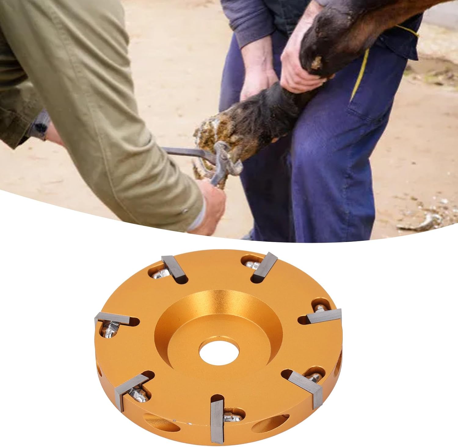 Pilipane Livestock Hoof Trimming Disc Alloy Stainless Steel 7 Blades Electric Hoof Cutter Tool for Sheep Cattles Horses Supplies
