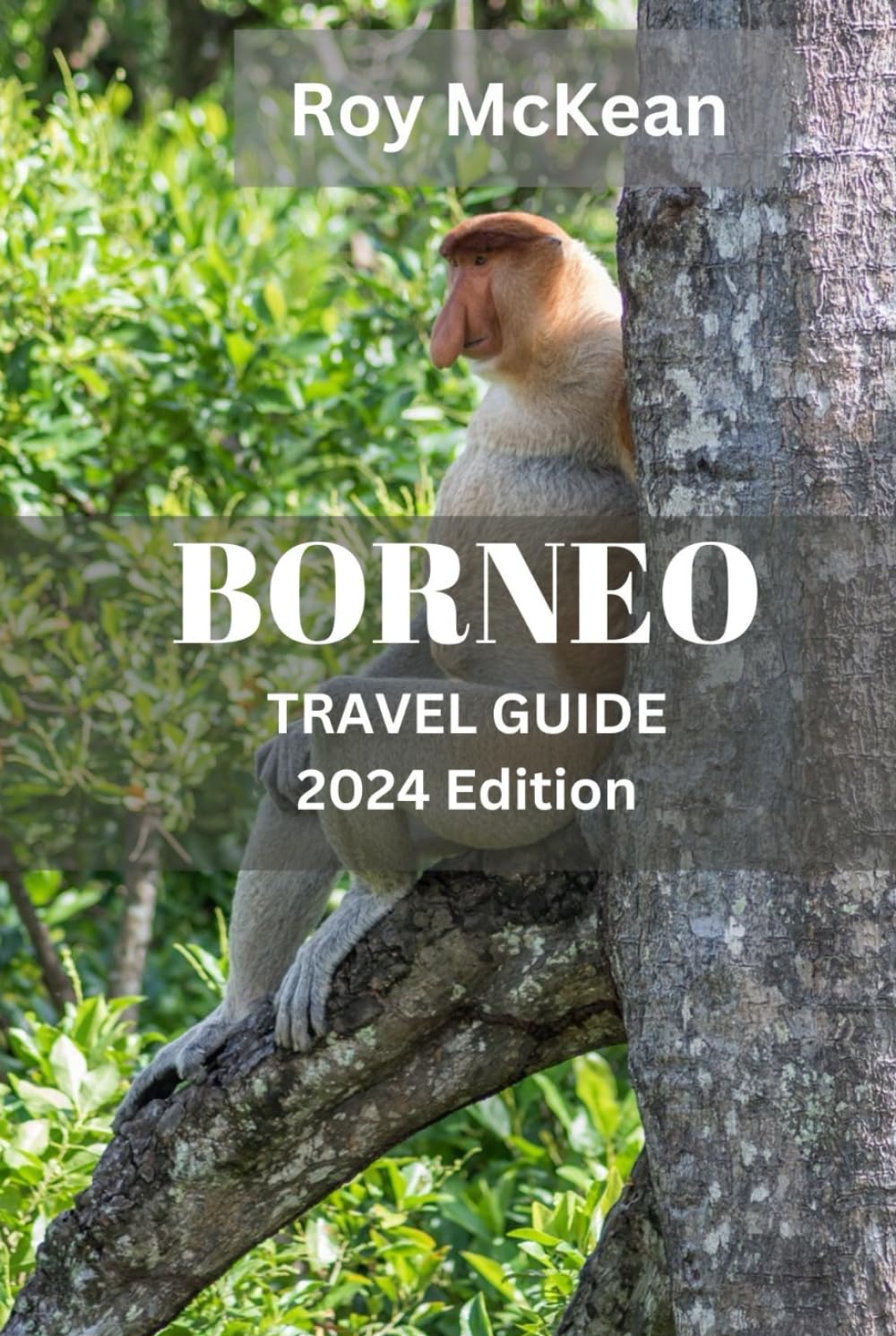 Borneo travel guide 2024 Edition: Borneo Uncovered: Discover the Wonders of Malaysia, Indonesia, Brunei, From Orangutans to Coral Reefs, Explore the ... (Roy McKean Travel Tour Resources, Band 4)