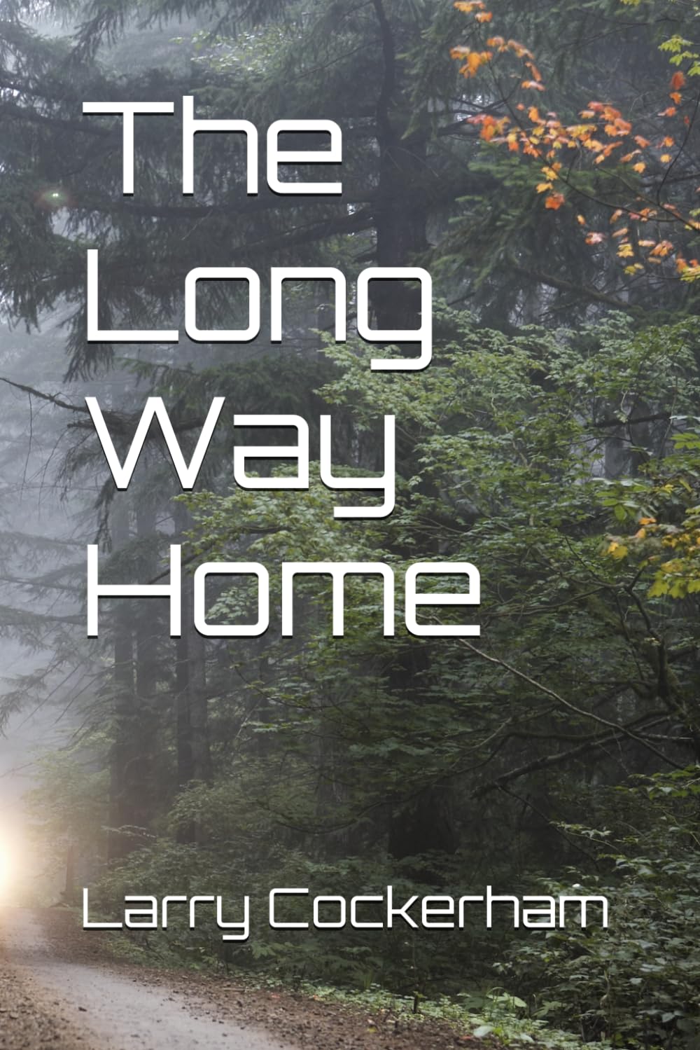 THE LONG WAY HOME