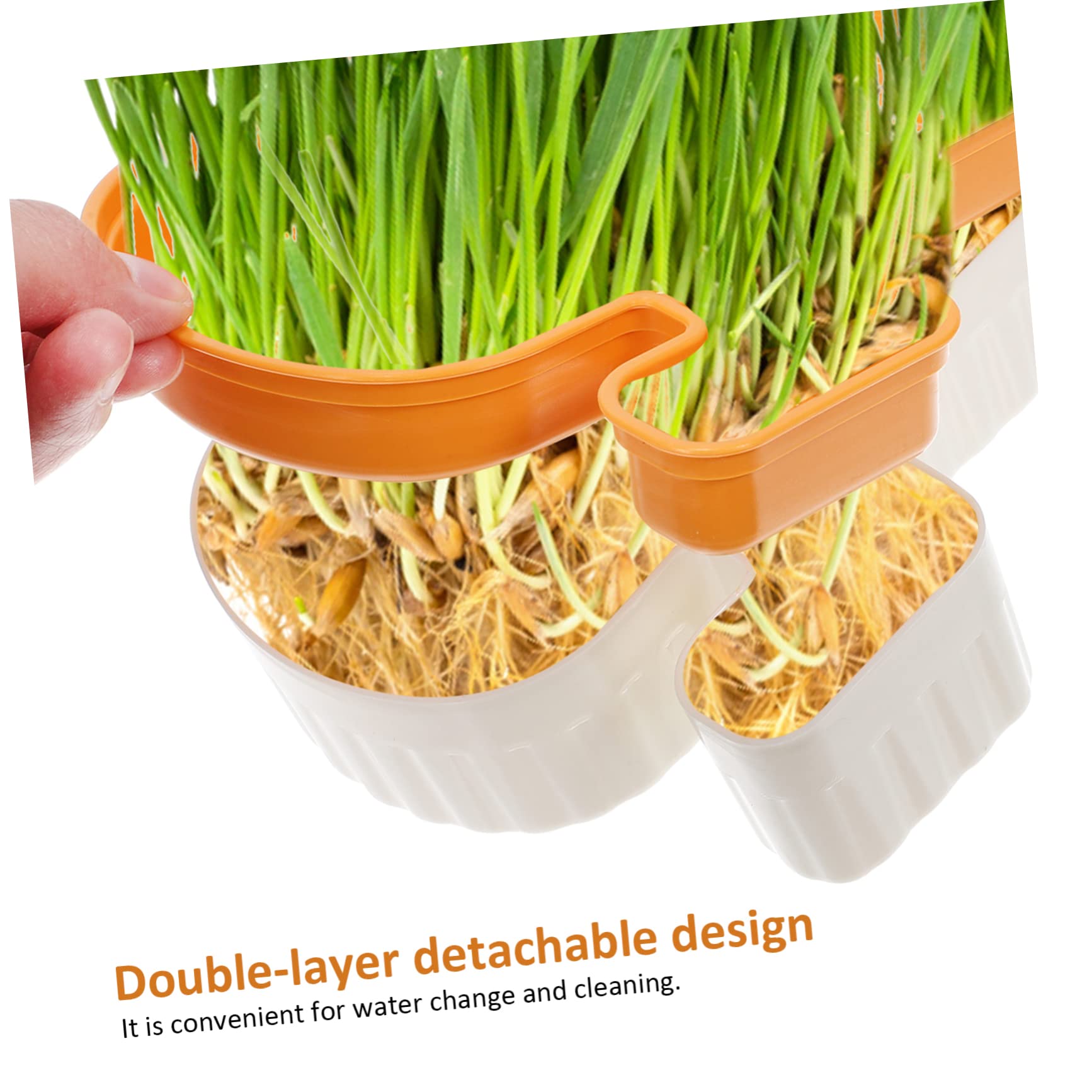SUPVOX Katzengras Pflanzgefäß – Hydroponik-Box Mit Untersetzer, 14x14x6,5 Cm, Hellgrün