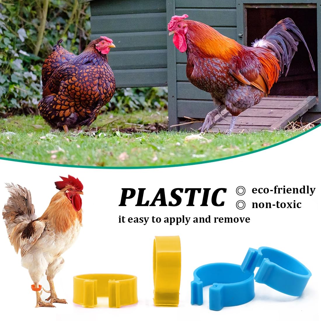 Anillos de plástico para patas de pollo 8mm 10mm 16mm