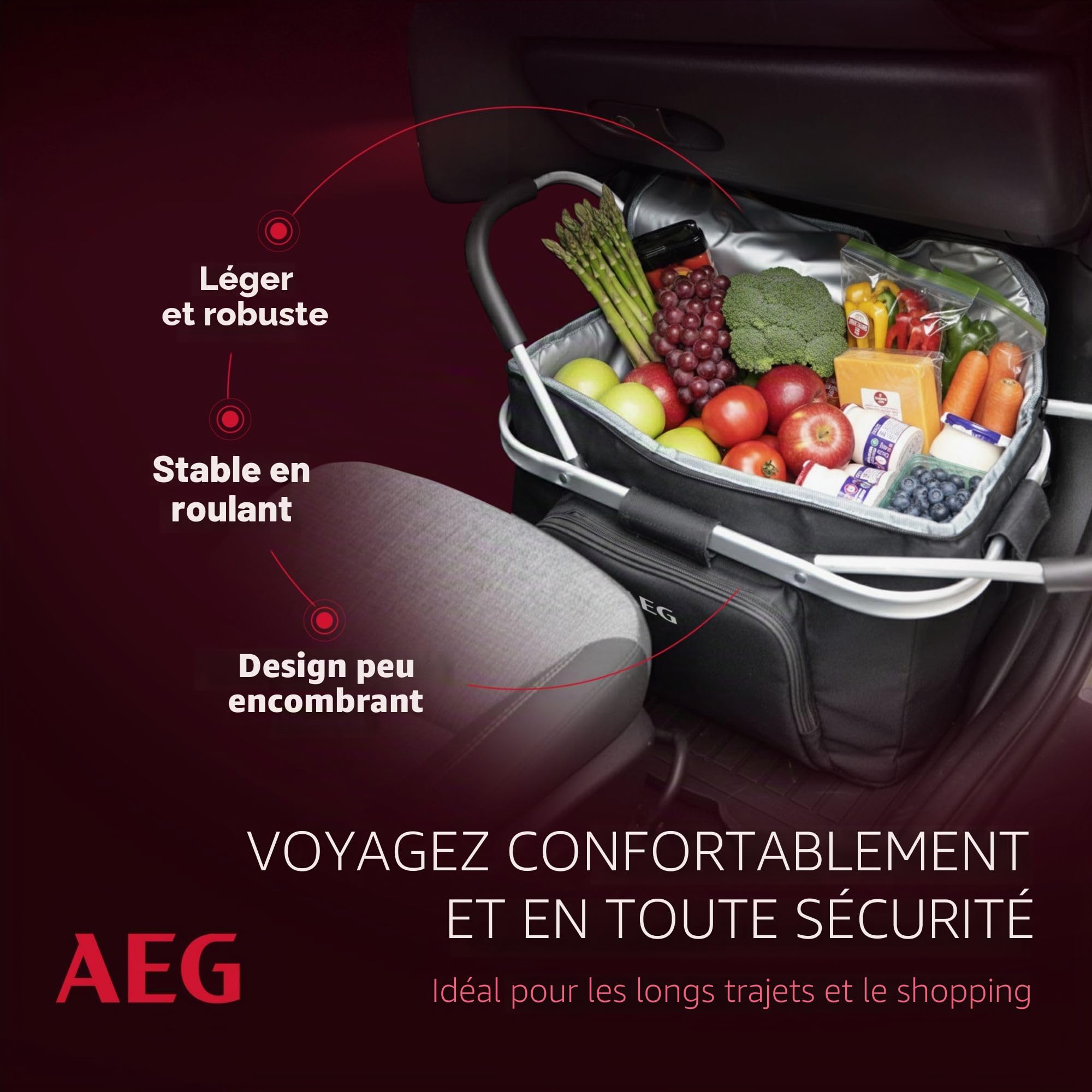 AEG Glacière