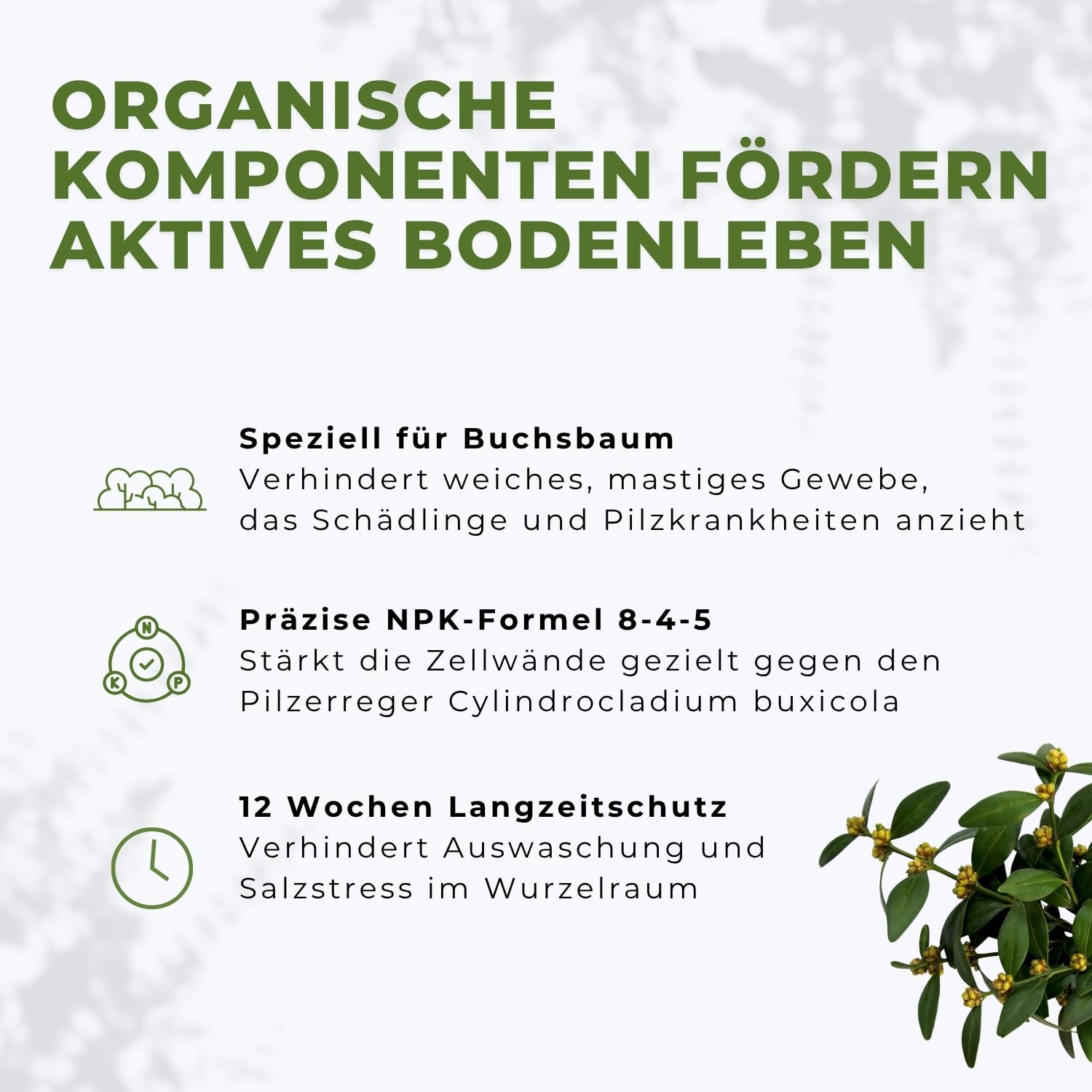 Flora Boost PRO Buchsbaum Dünger mit Langzeitwirkung, 5KG Granulat
