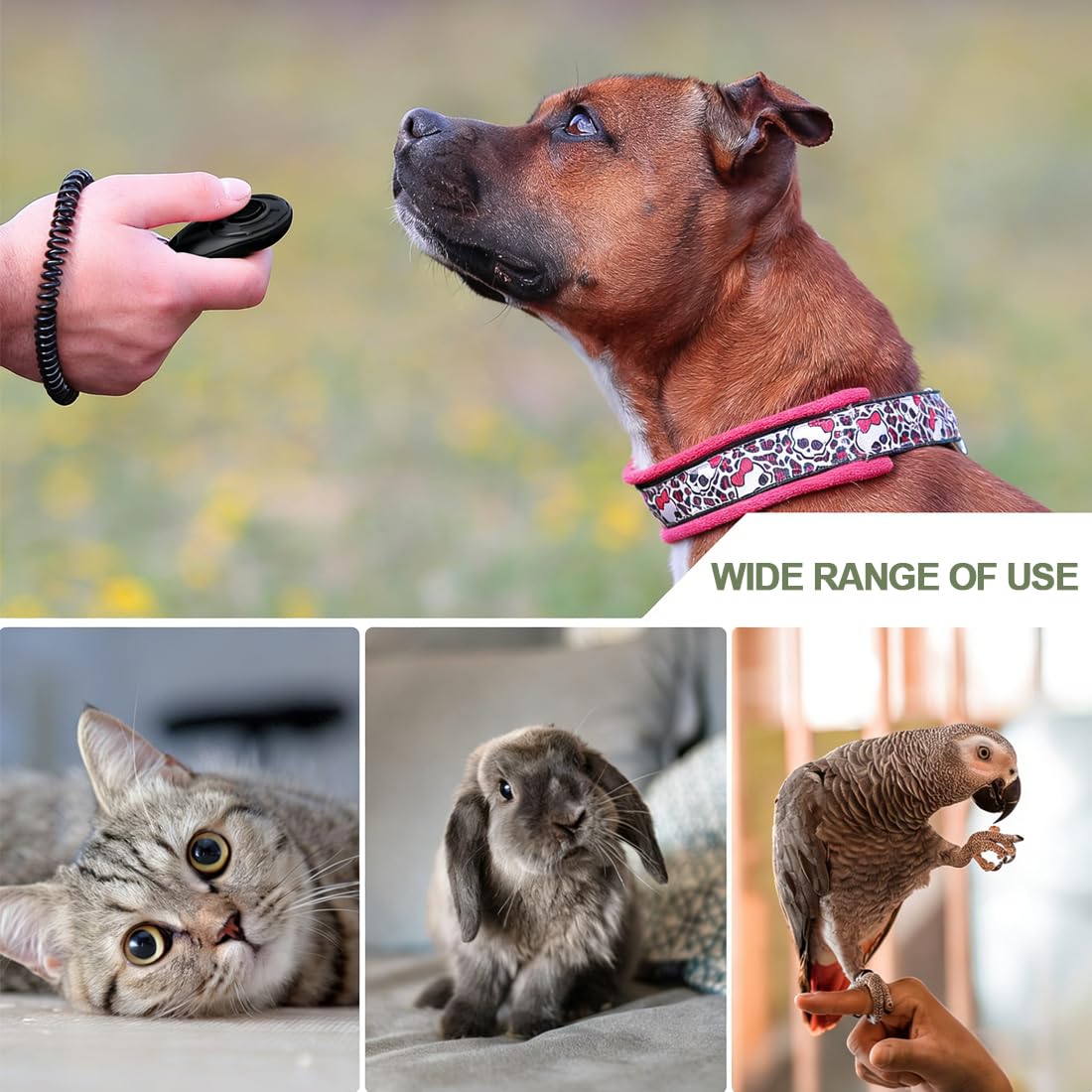 1 Set Fischietto Ultrasuoni Per Cani, Fischietto Per Cani, Ultrasuoni Per Cani, Fischietti Per Cani Con Cordino Regolabile Per Ii Richiamo E Ii Controllo Dell'Abbaio