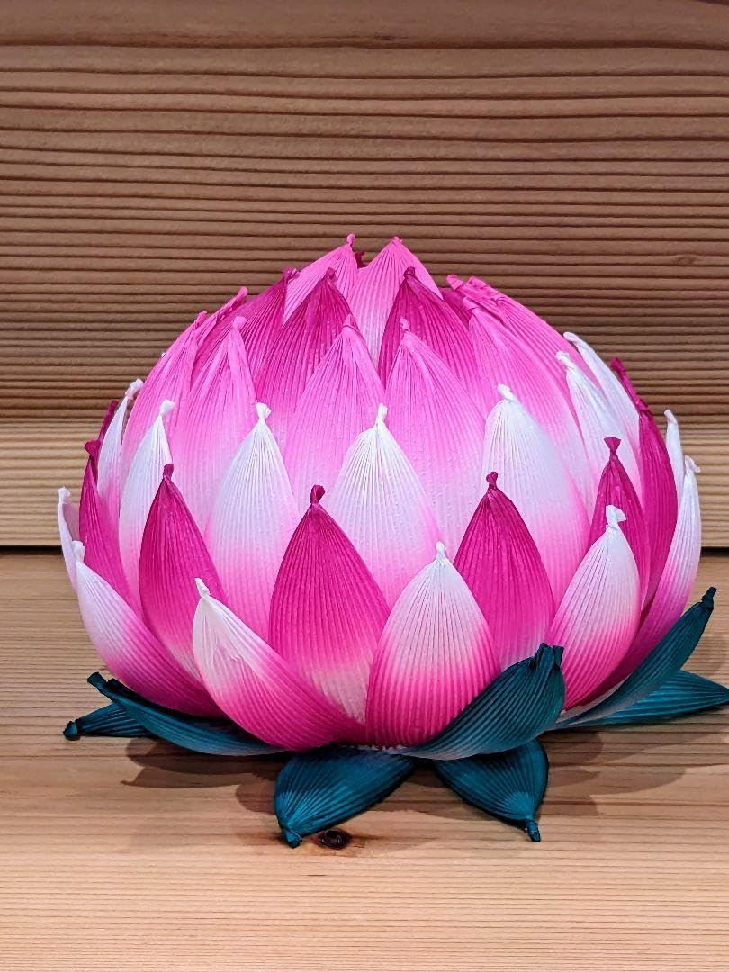 Amazon.co.jp: 蓮の花紙 蓮紙 蓮華セット【8色 24束セット】匿名配送