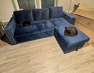 Review Image by Christina Stevens Christina Stevens